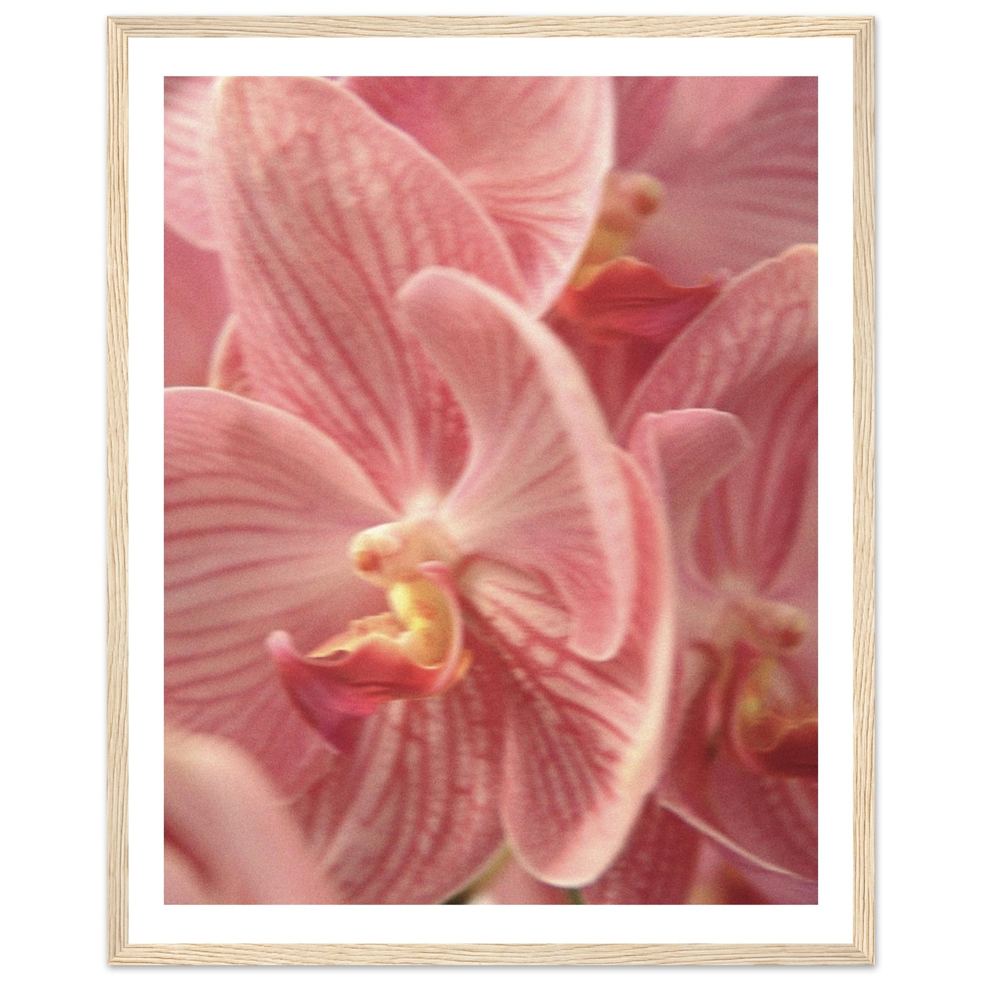 09da934d-f569-4be7-ad2d-4719307ea3ac