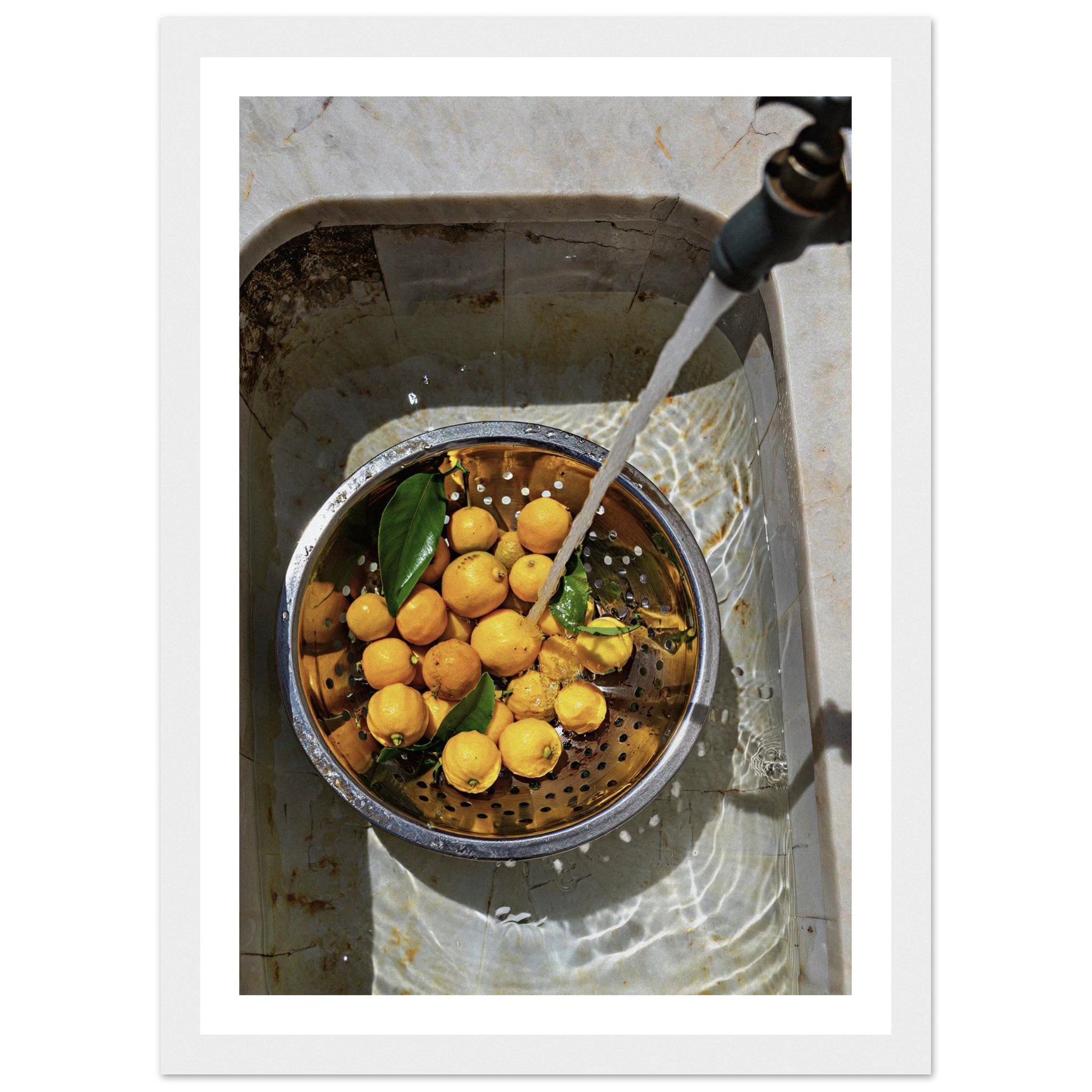 09db5fa9-b500-482f-9e41-bd13125baf48