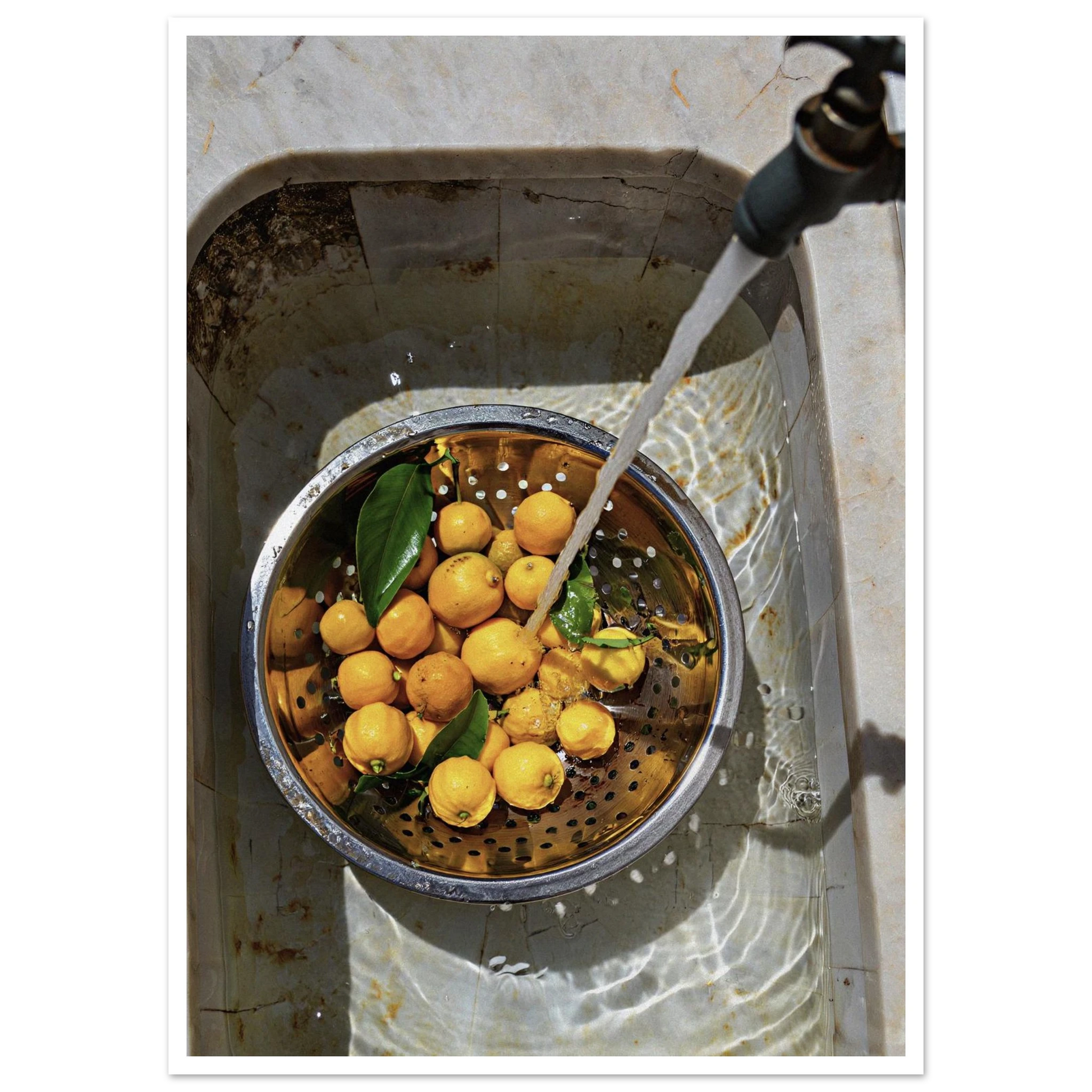 0d1269d8-d244-4023-84ec-8ee7142208d1