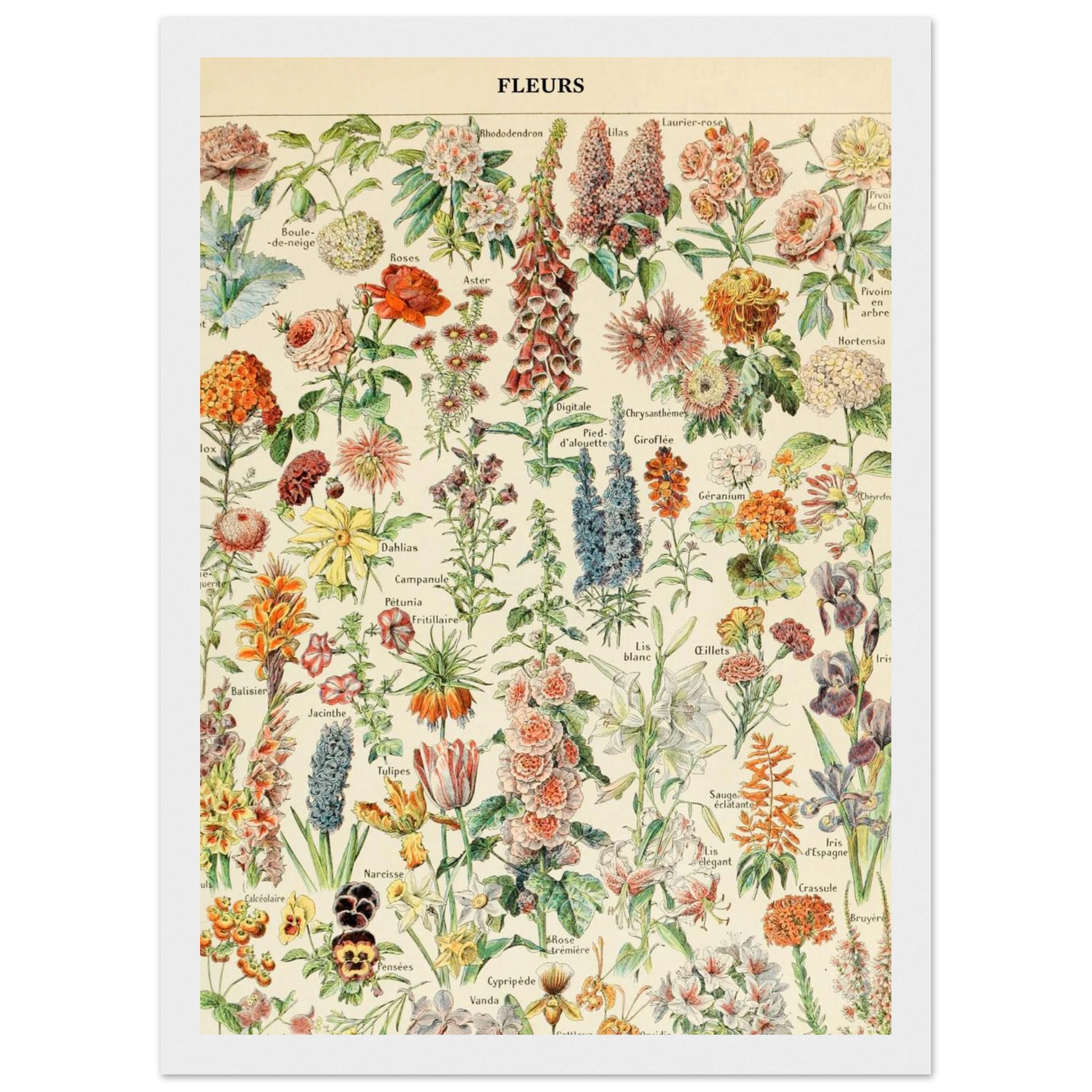 1d3d8d5d-15b5-430e-ad36-57b839f667cb