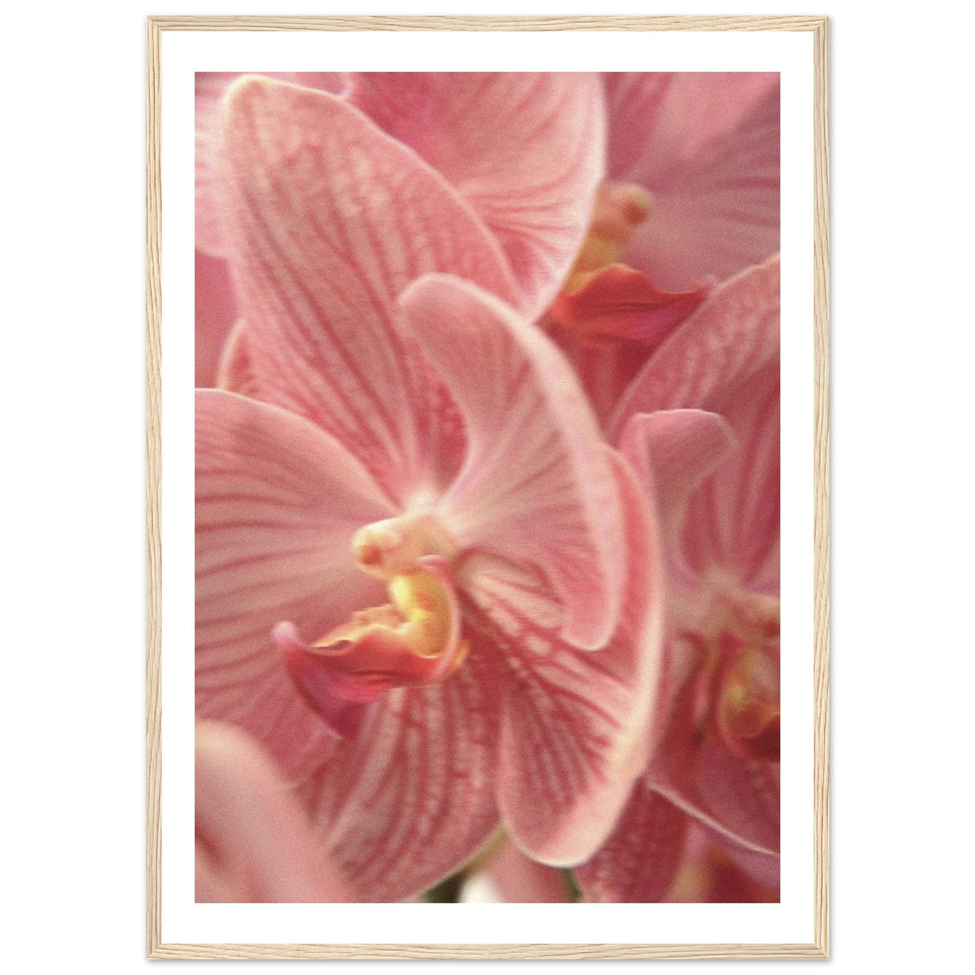 1fc949f4-9a08-42de-aca9-df793f911cbd