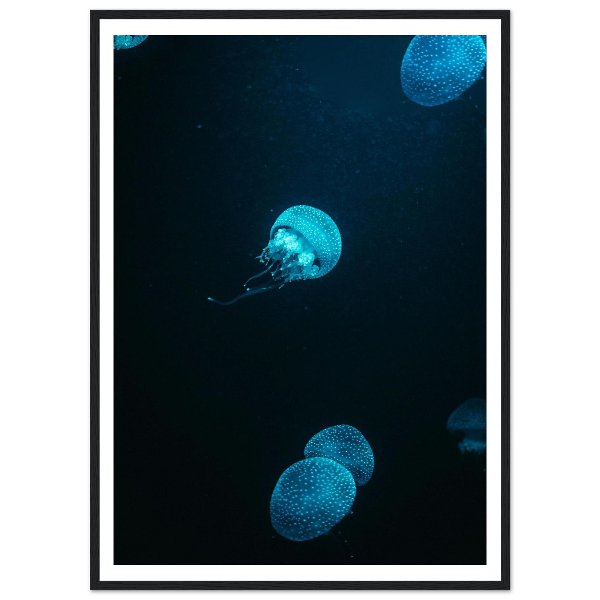 208af8e5-cc83-44c7-be24-b4e137ee901f