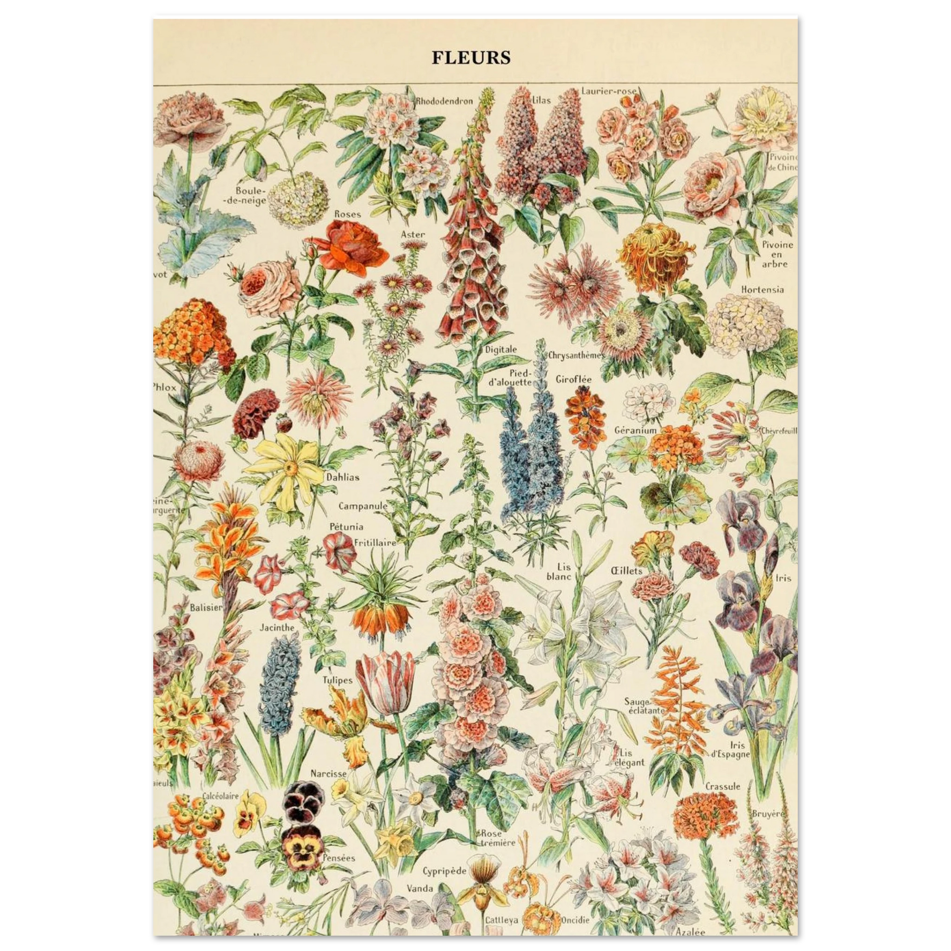 2496c94c-4025-46ae-b338-59194964177d