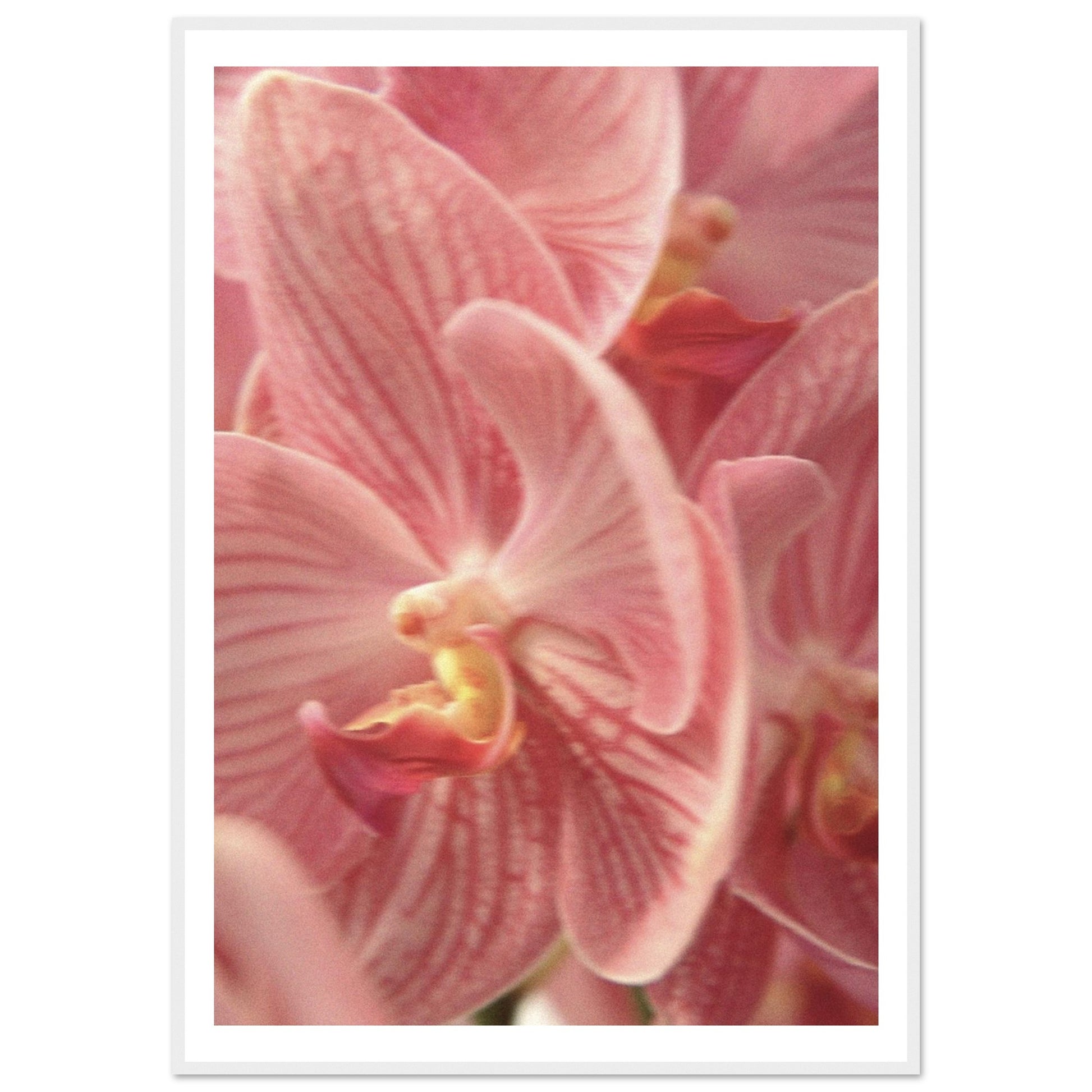 253a38c1-7d06-4ad2-a277-68065571973d