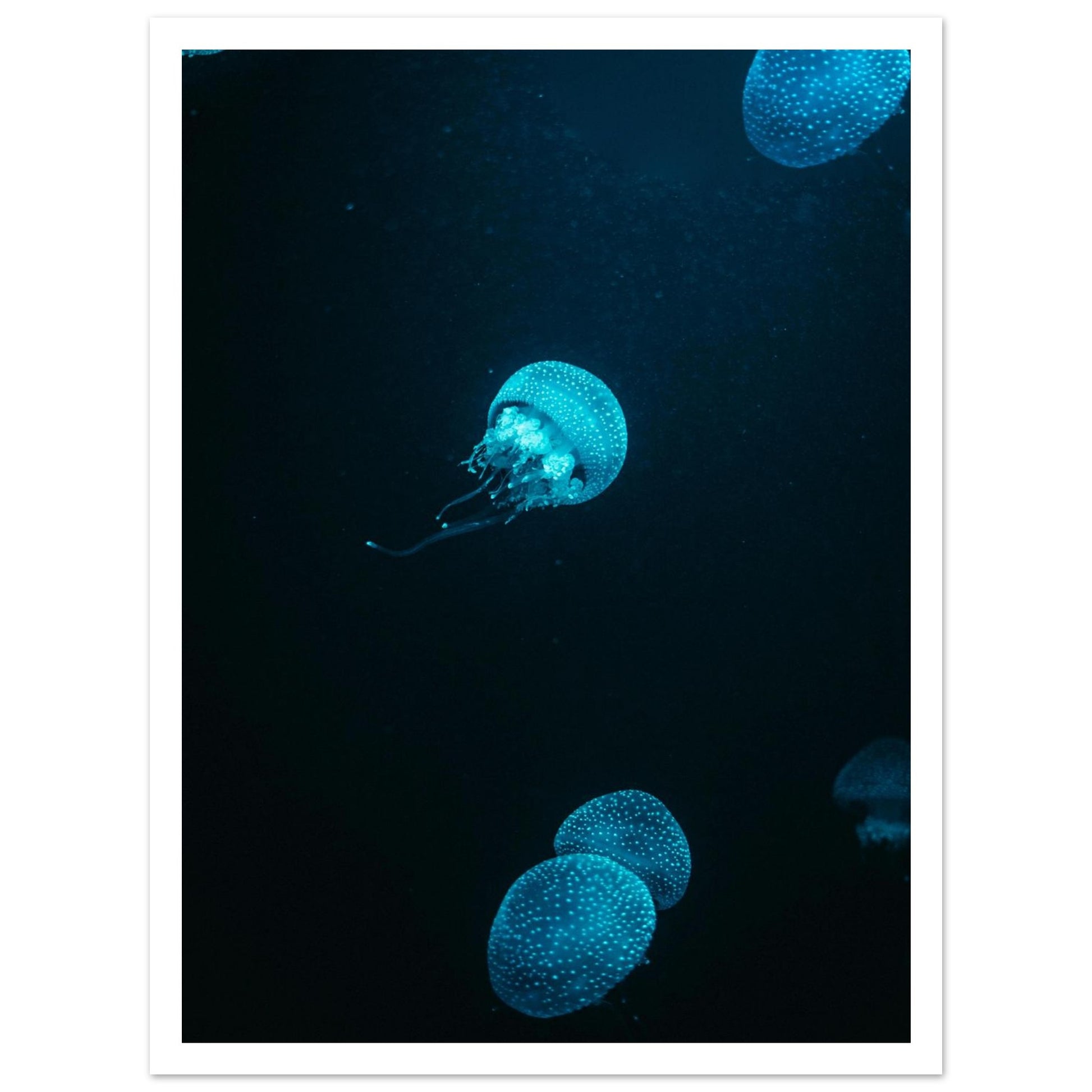 25437169-df90-47af-8123-7ca44cba03c7