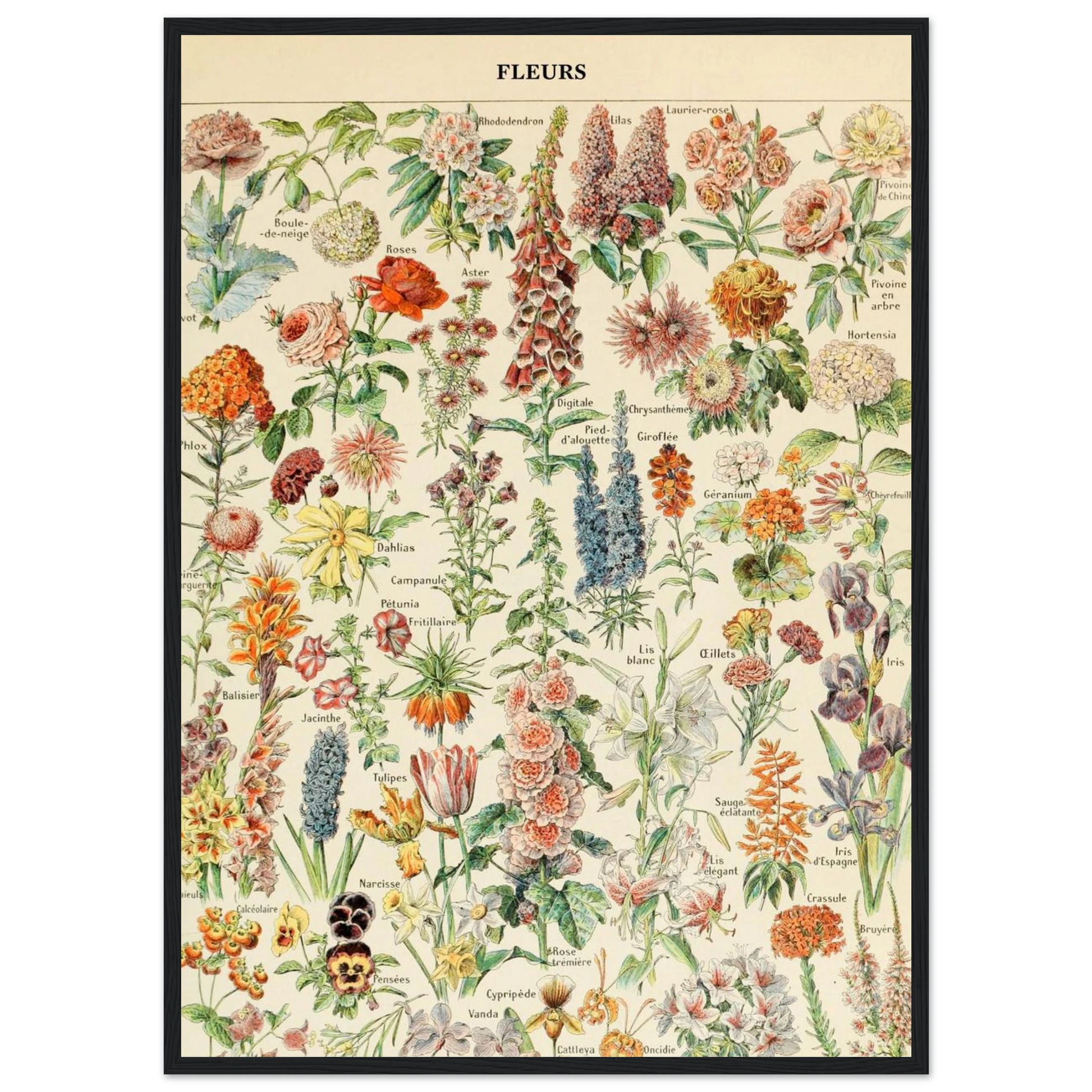 2d24e172-8533-4e94-b38d-a9b1e5340b00