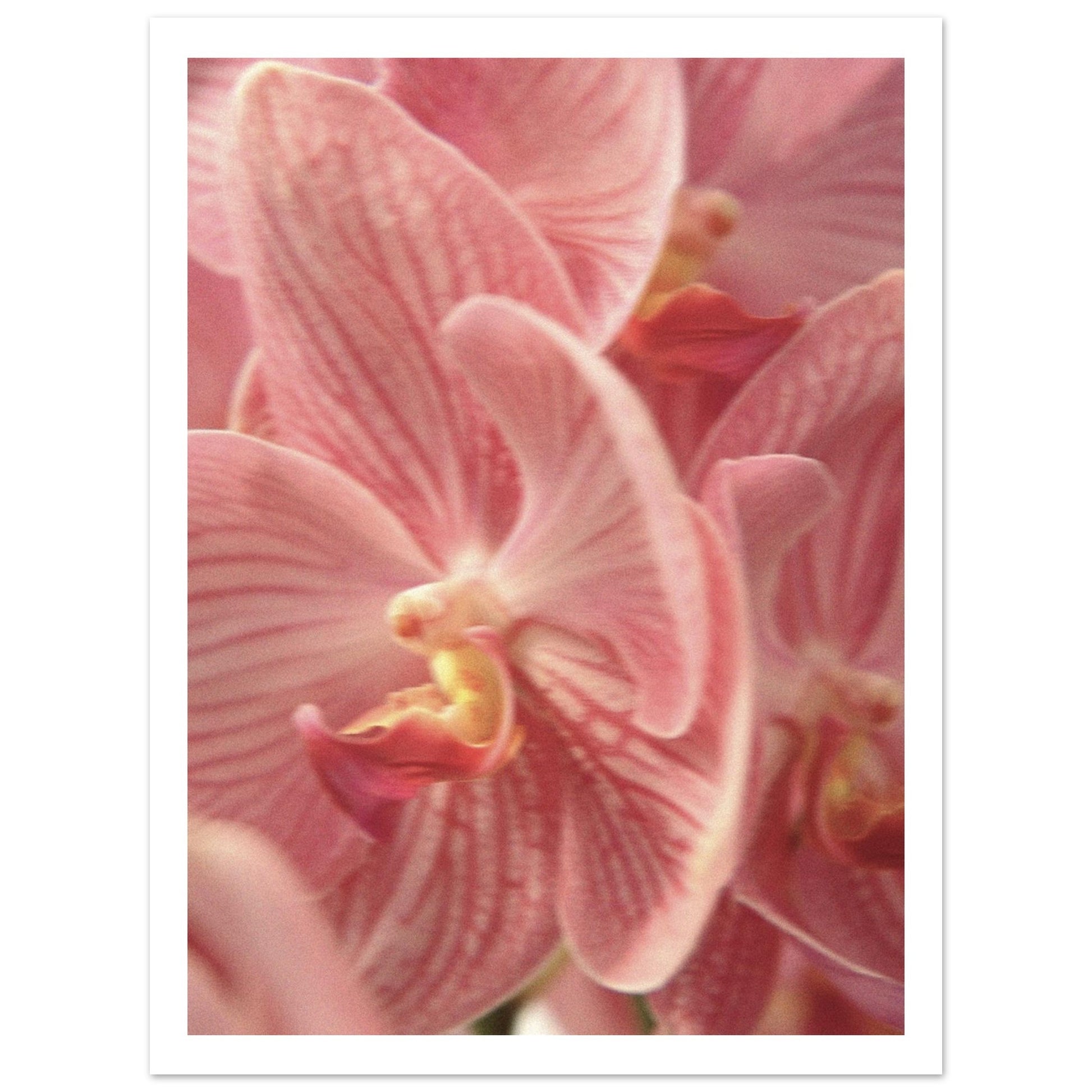 2df330bb-5948-428d-8bb4-4b25d1c94710