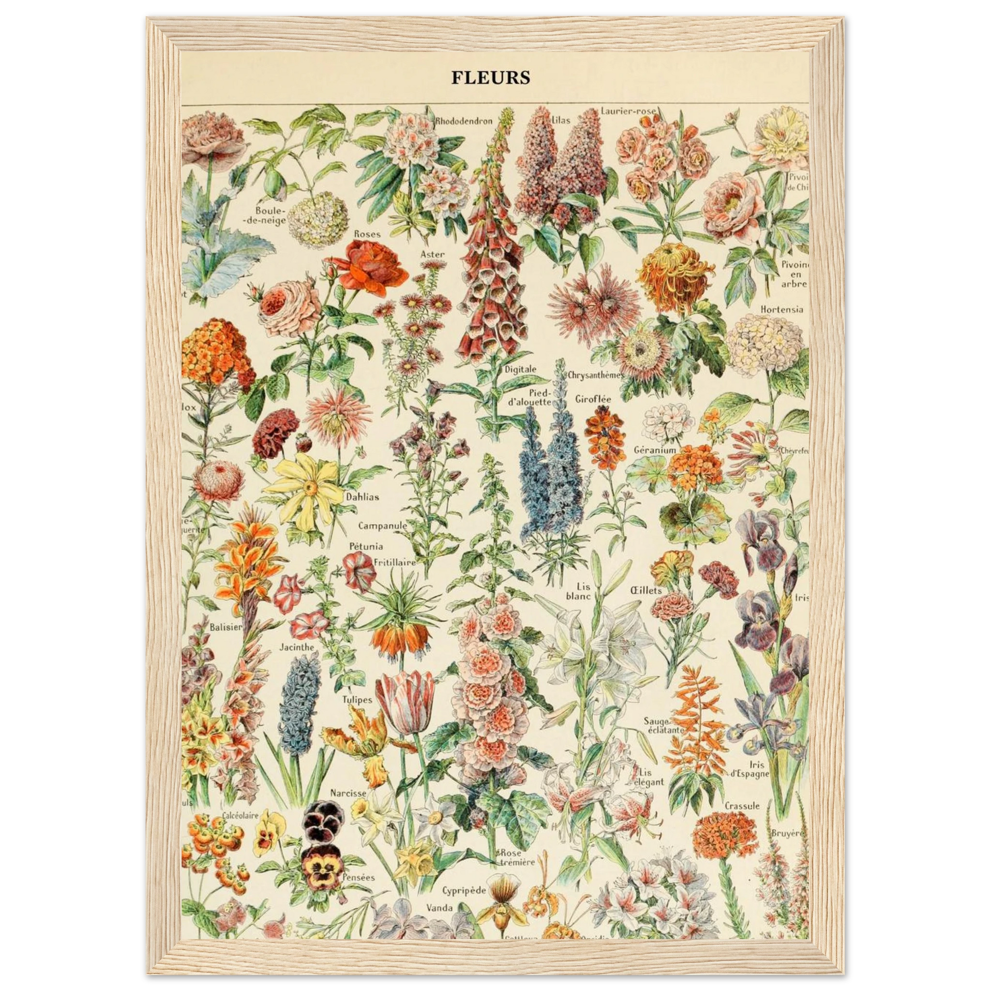 31aa468c-02fc-42d4-a0f5-c96bcf3bfff6