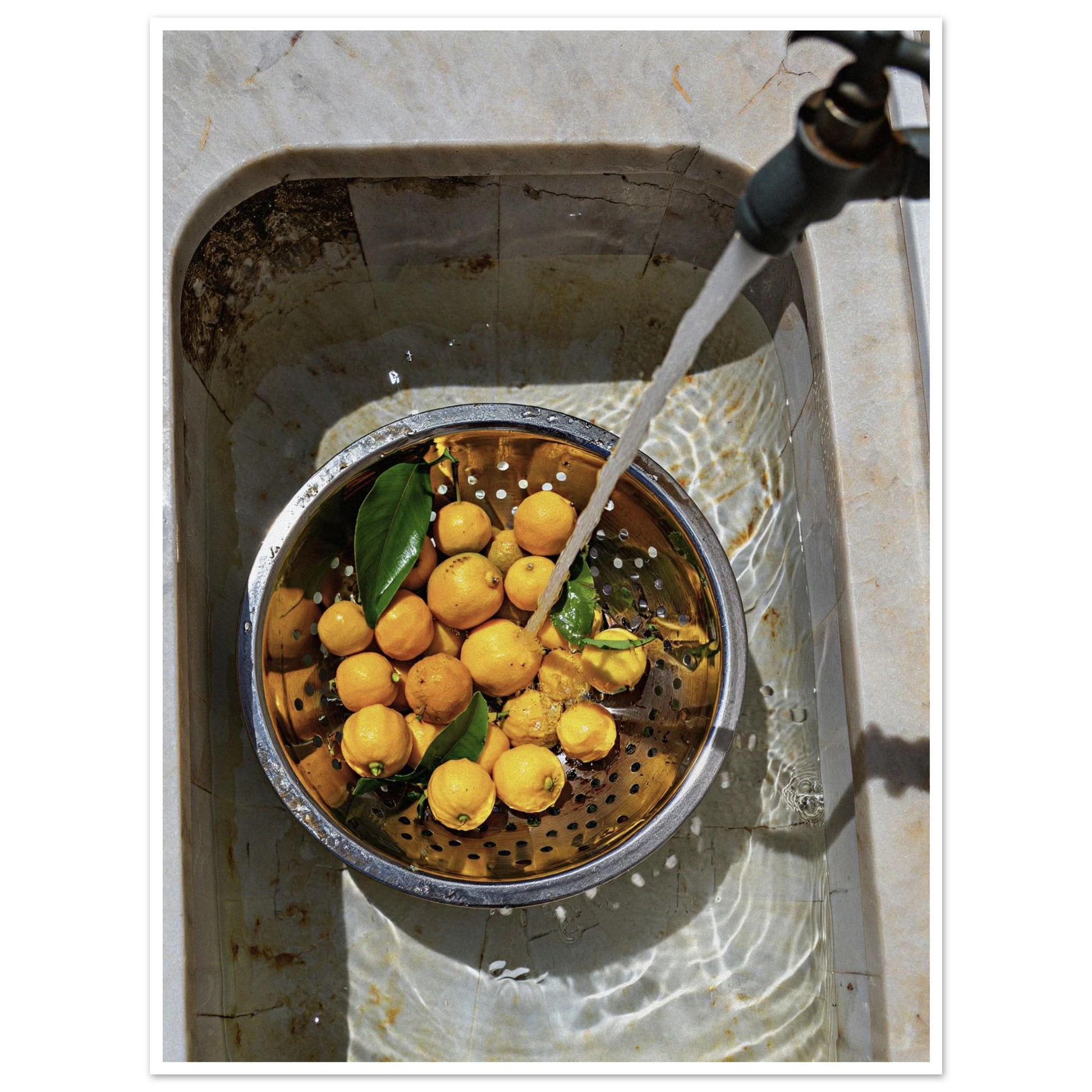 36839129-068c-41e5-879b-dc924ad26f88