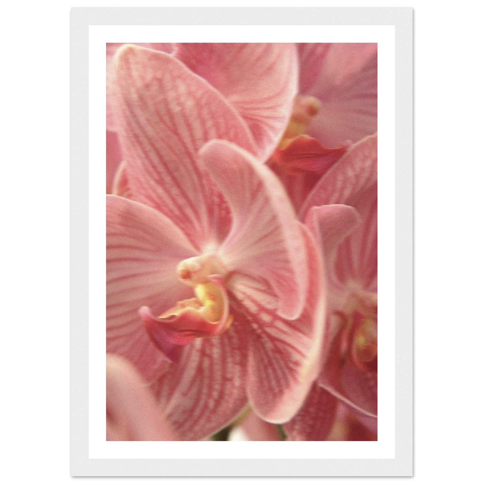 38d34a7d-1dbd-477a-ae96-1b3f00d0f136