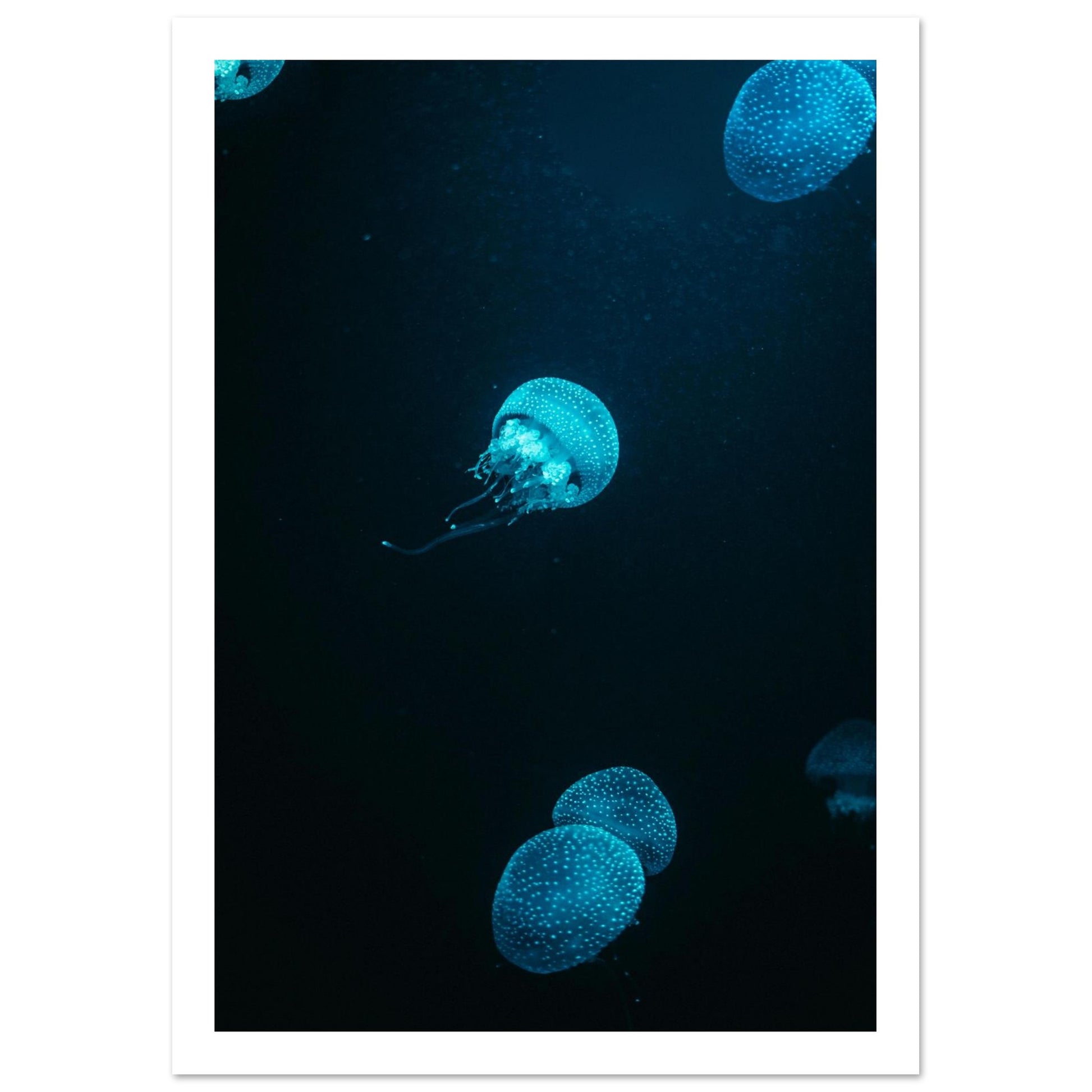 3a5ebcfa-611a-47d0-a5e7-15b9f0ac871d