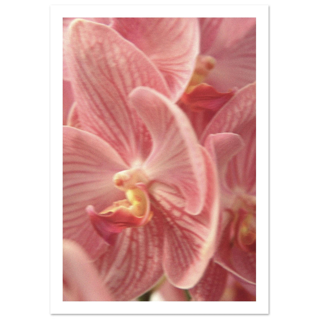 4260c7aa-71de-4014-9f97-be0d91357ad0