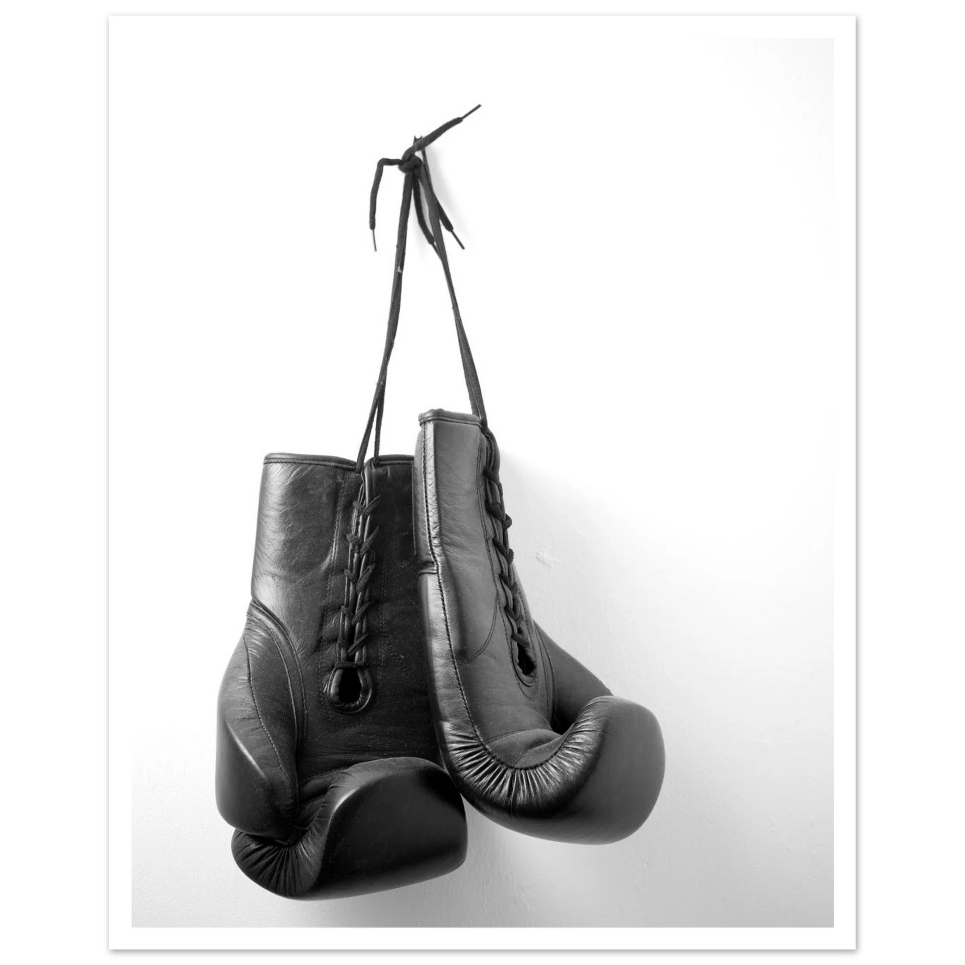 443e80f3-c8ae-4506-8385-f55aa68ce9f7