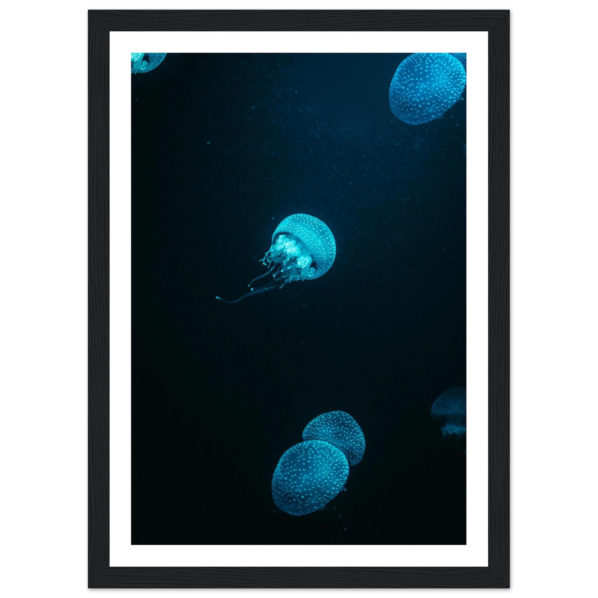 45a62827-621a-4850-b25c-741054ddb120