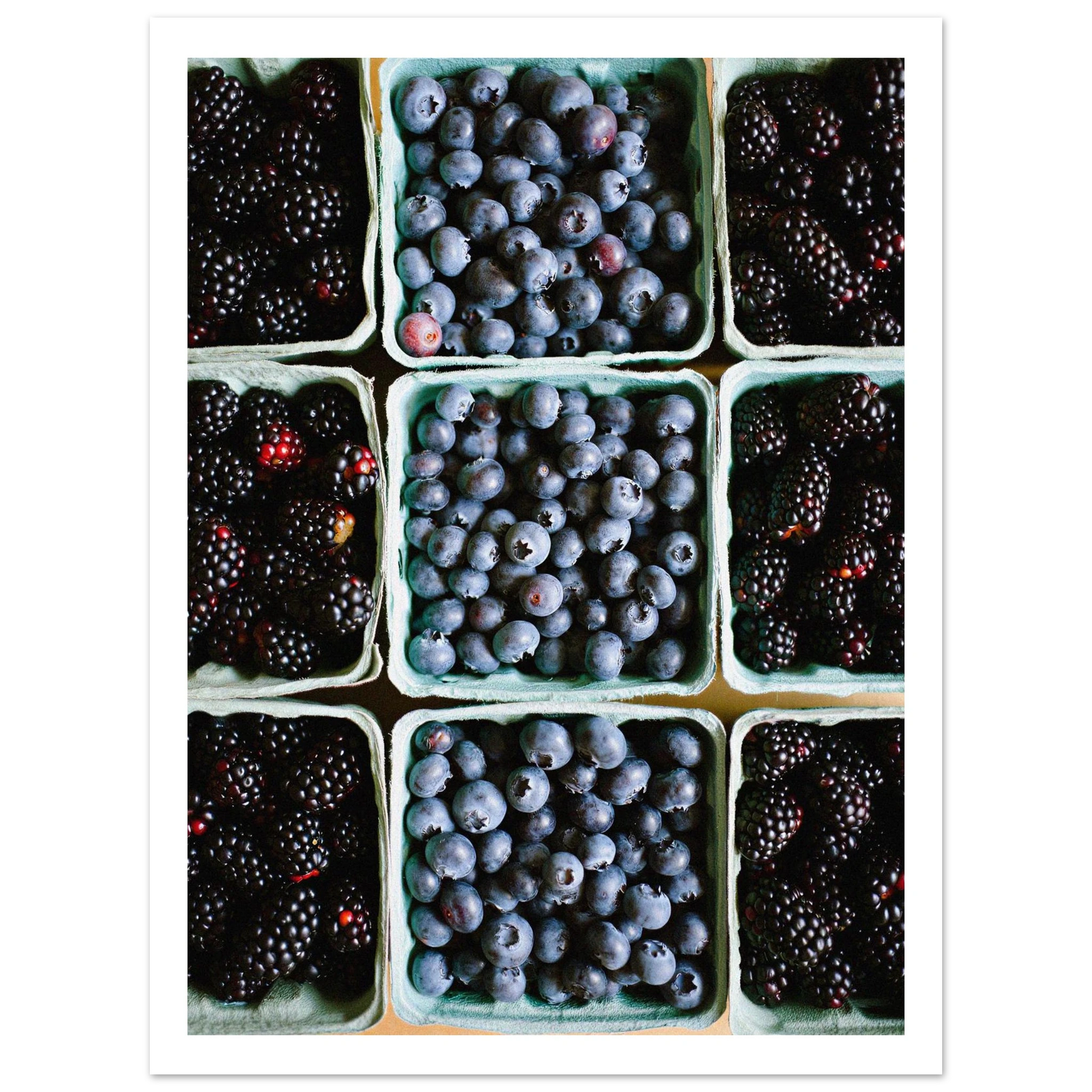 479ae2fa-f0f4-4169-9104-22f545ba1105