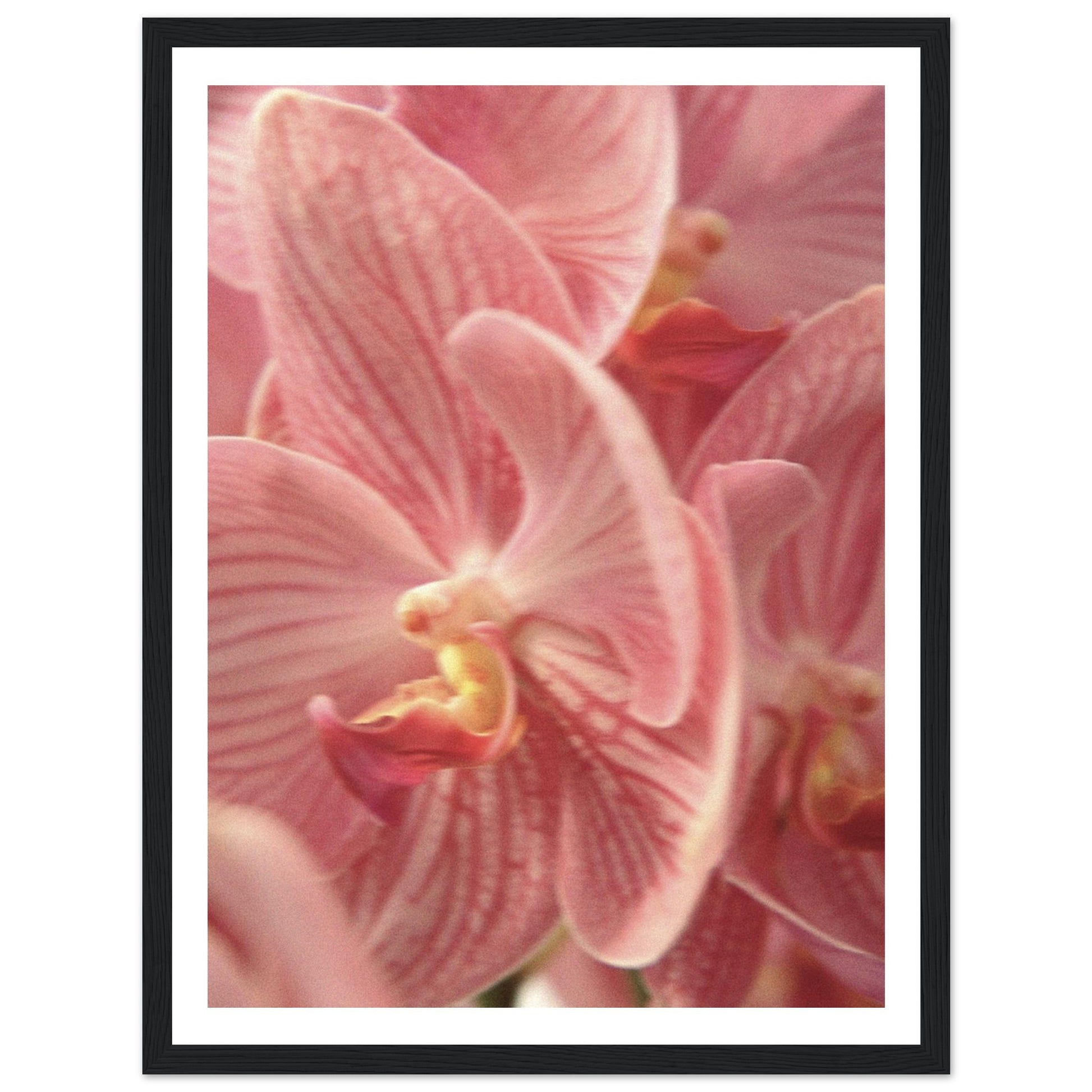 481b296d-9e14-49dc-9188-dd82f1a5faab