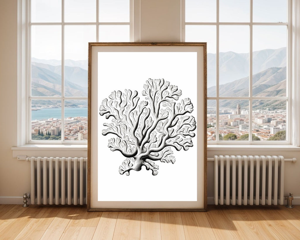 Black and White Coral Illustration Art Print