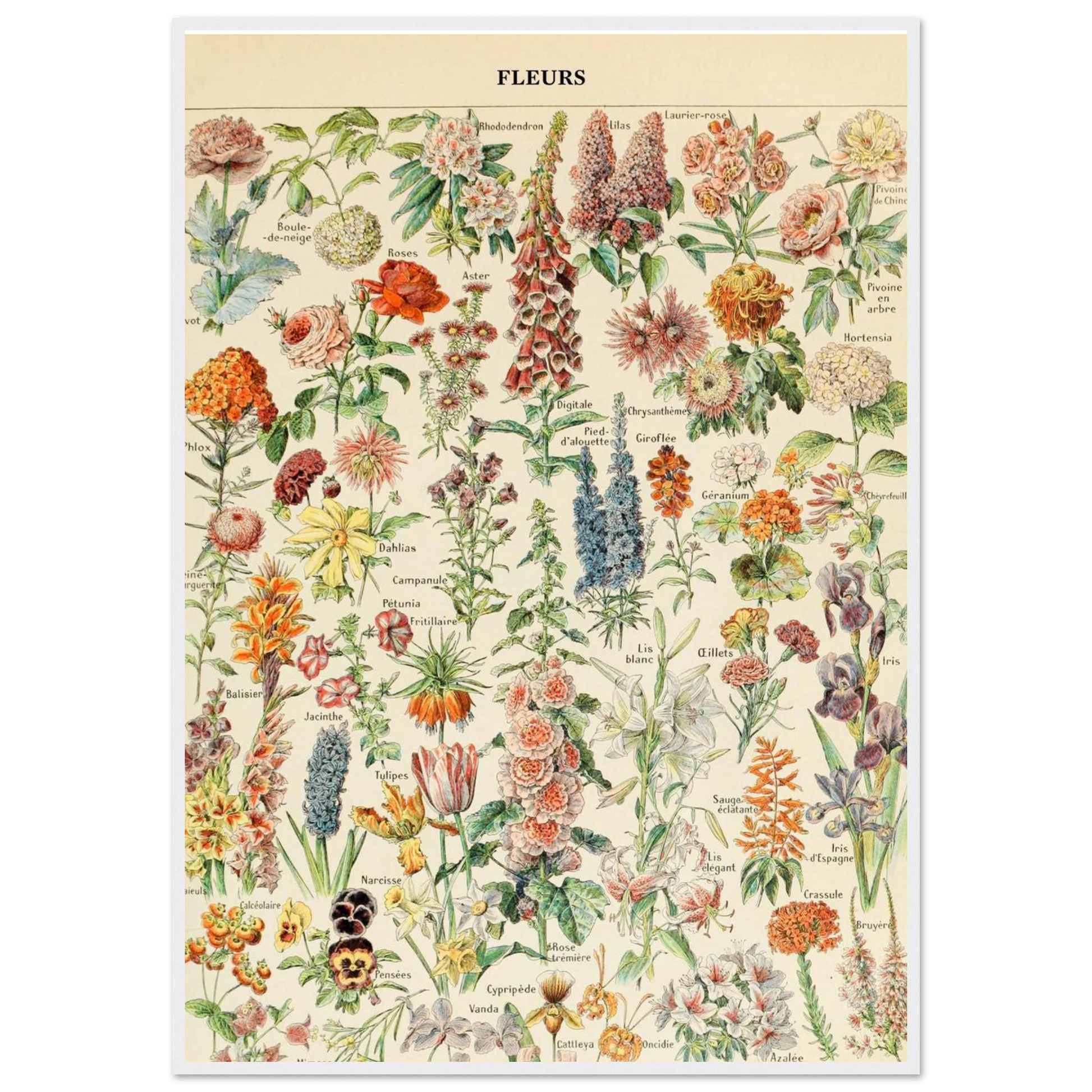 4b8c8fdc-5fef-4ac8-a4a2-b0bd40497581