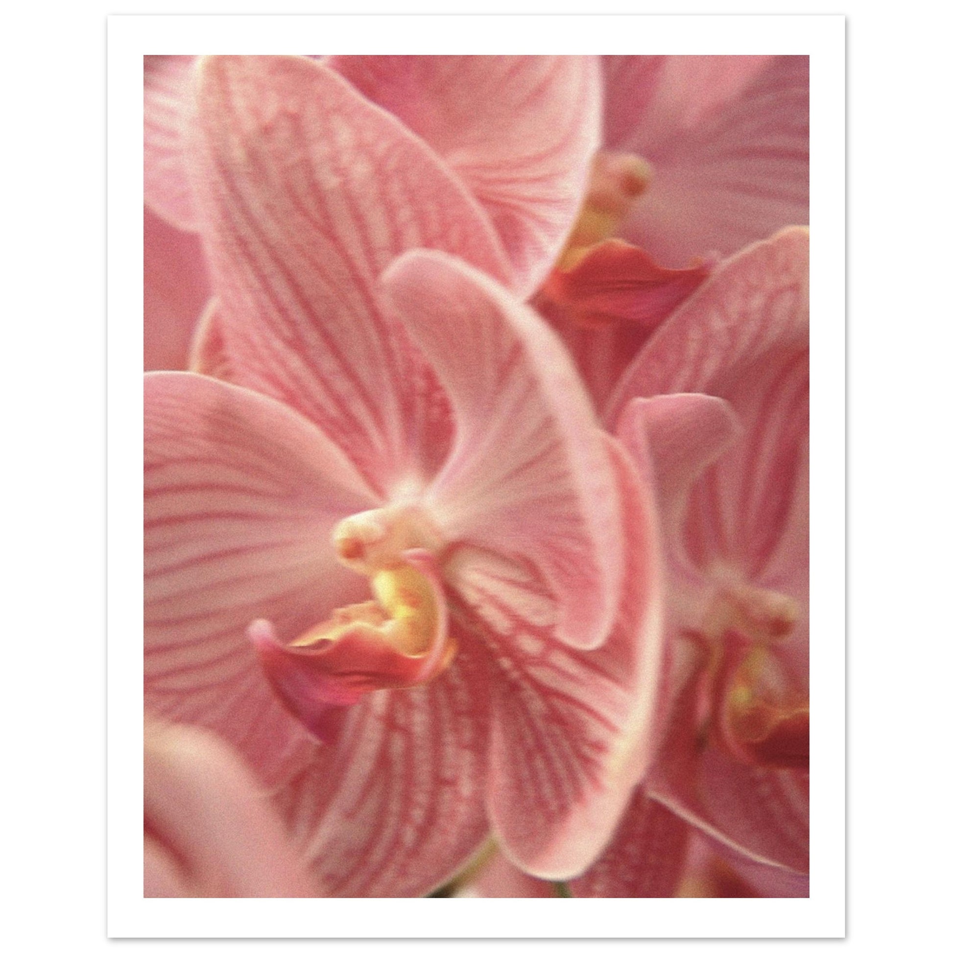 4eb54f64-2efd-4c2d-be22-4612824e4905