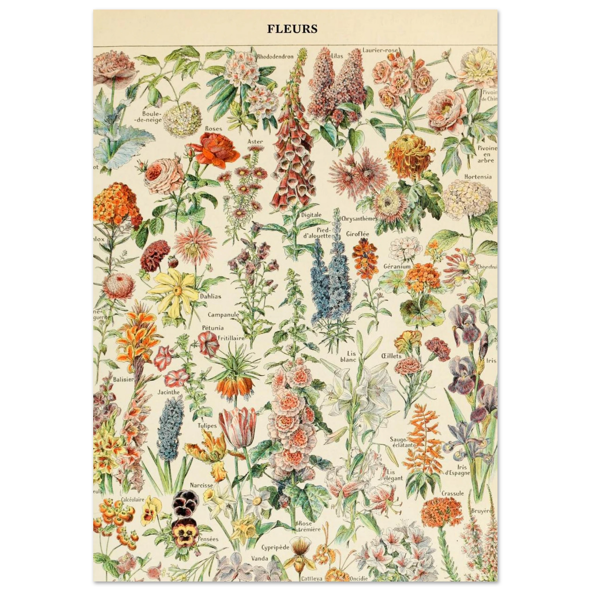 588de9c0-7930-4cd0-8f92-f2e6571fba5e