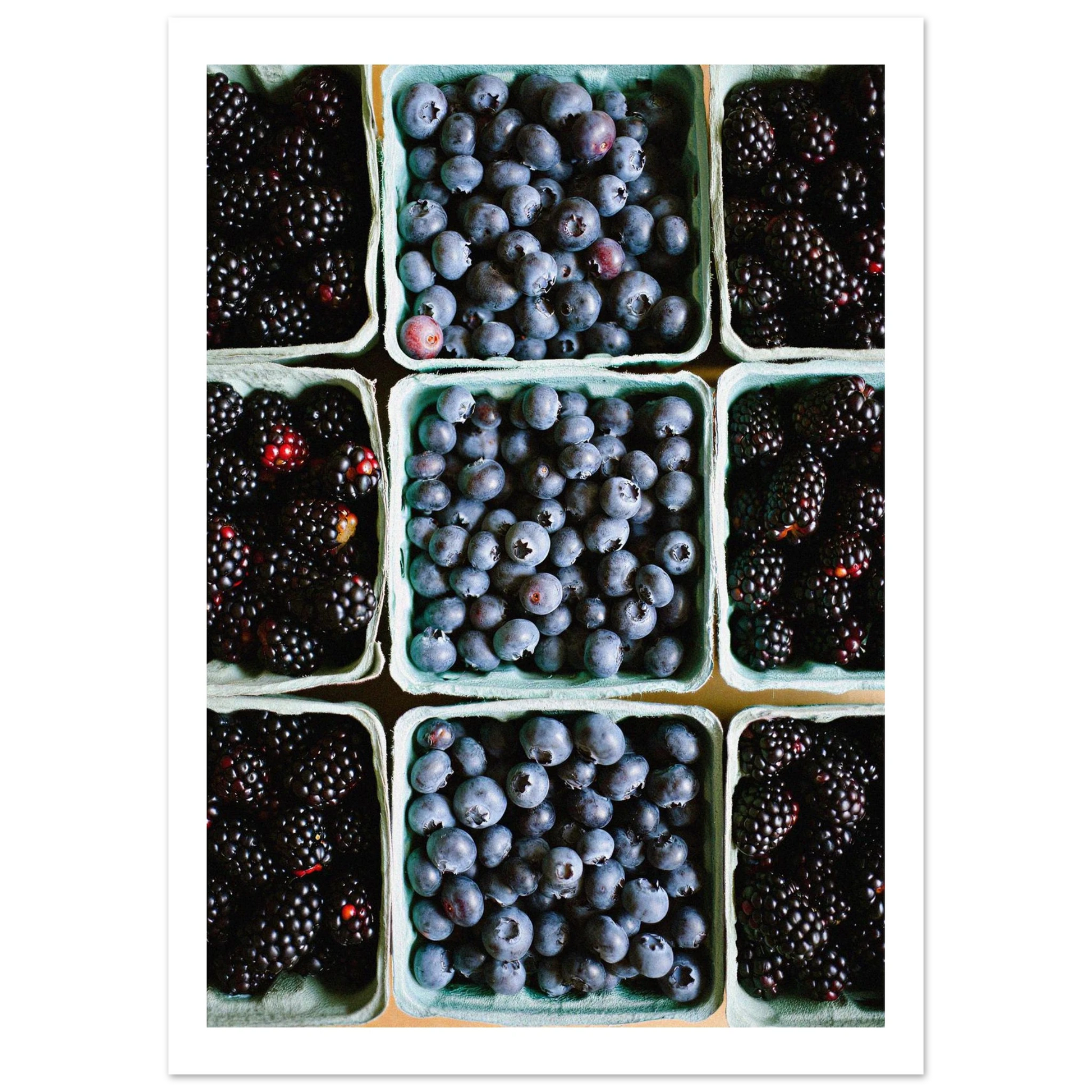 5a590290-2736-4c6e-9194-b37f7e13f37c