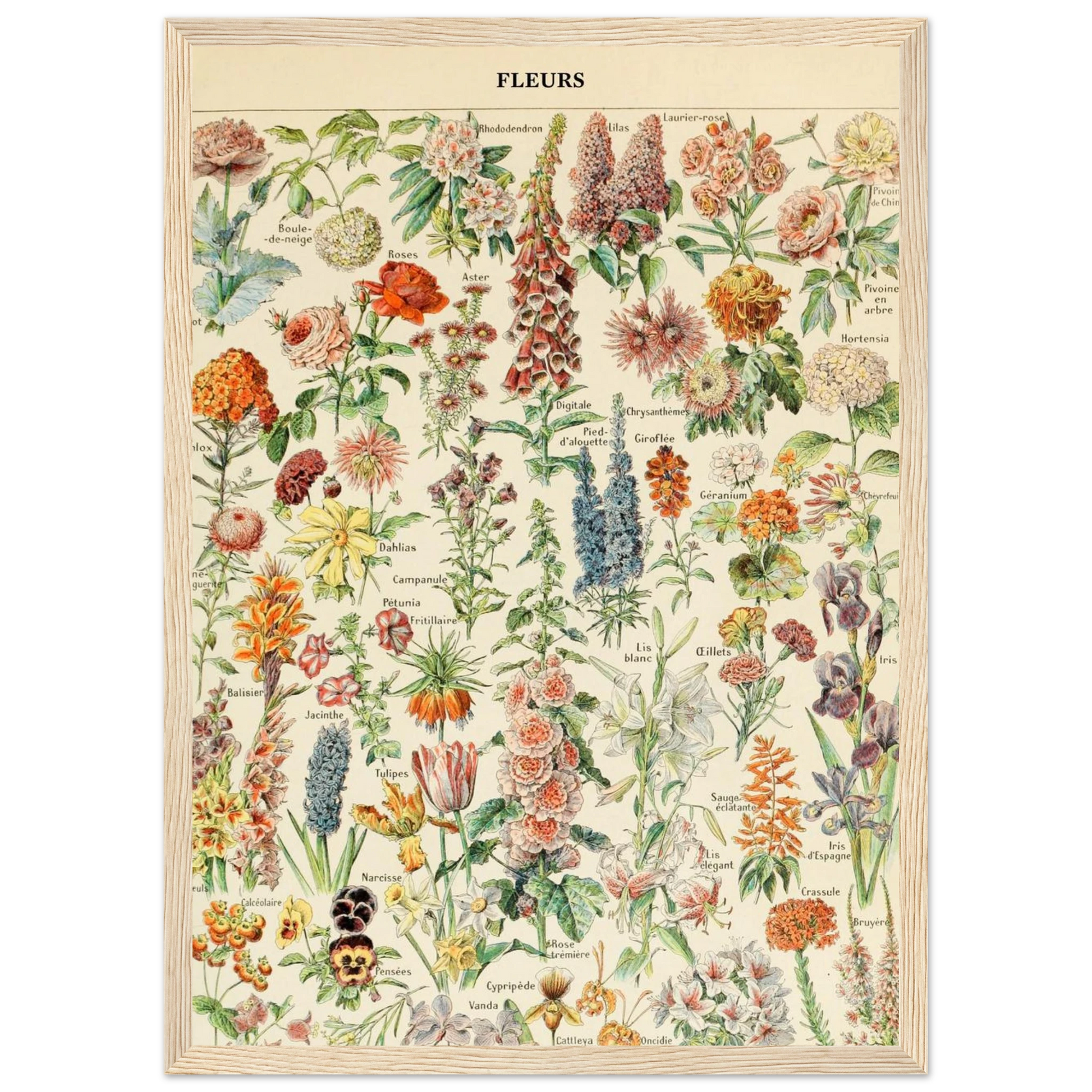 5e9187c5-8eea-4bde-a56c-10ed9c085689