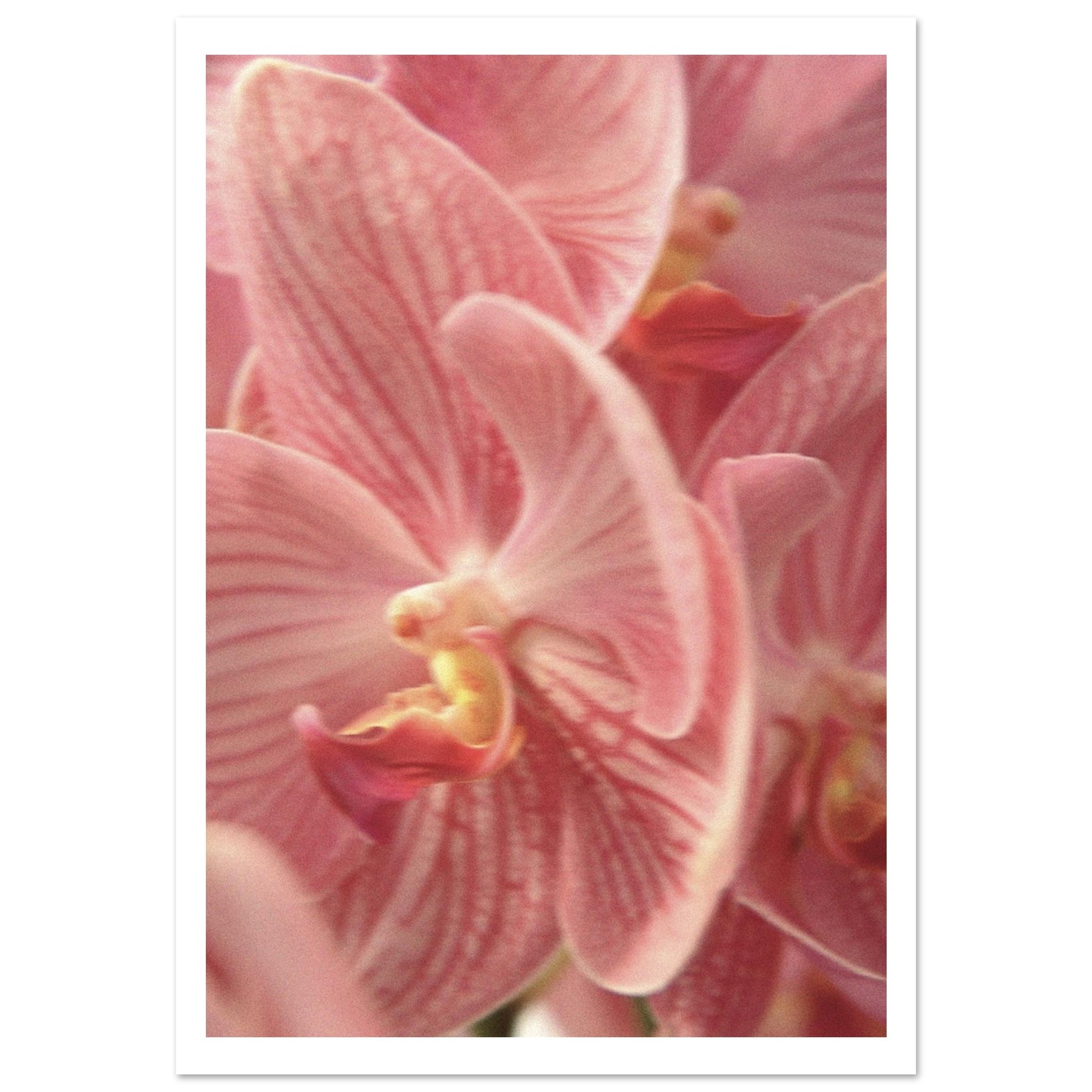 61b01666-5925-485c-9028-dcaa21e5d805