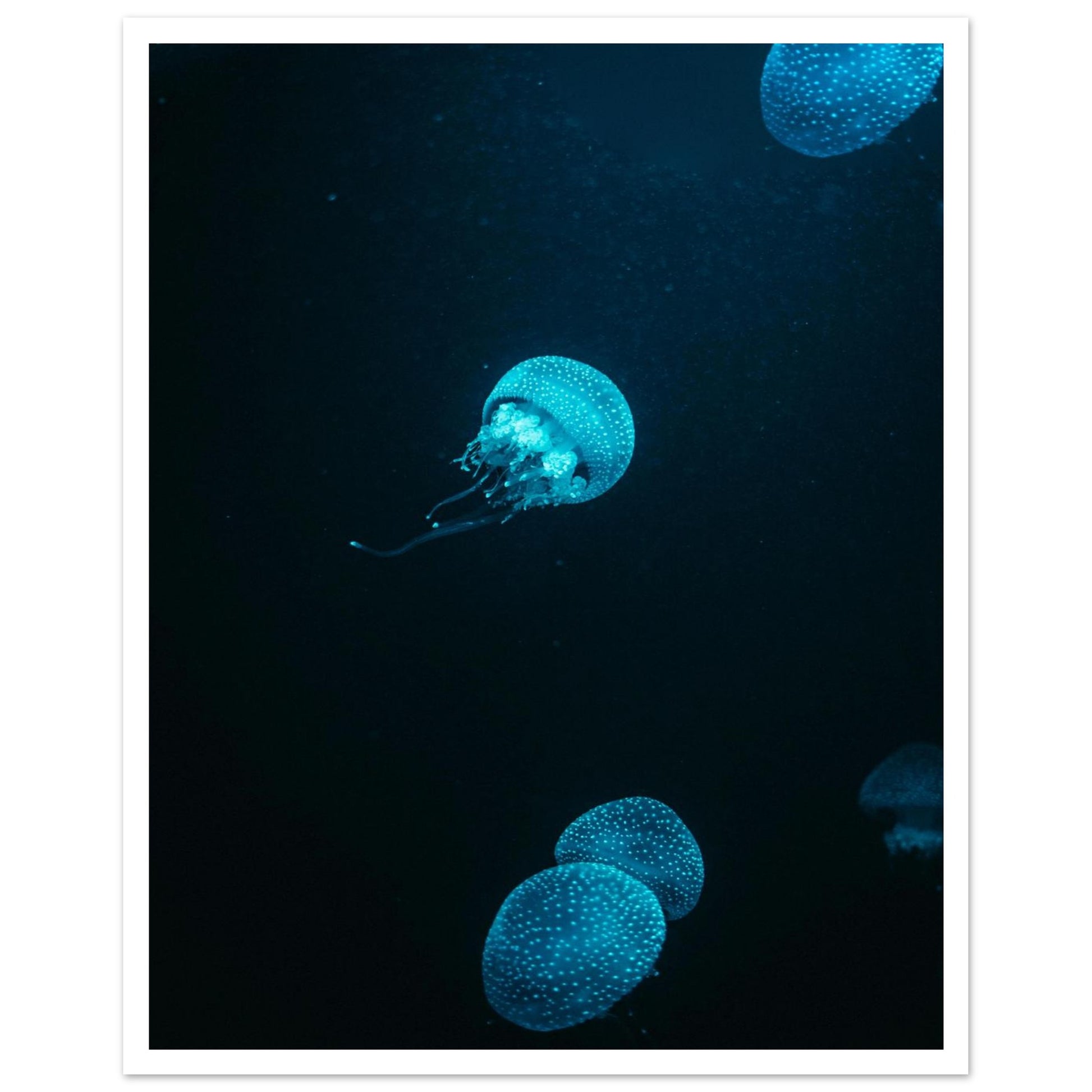 621ffebf-9f29-4eba-b590-62ae5205050b