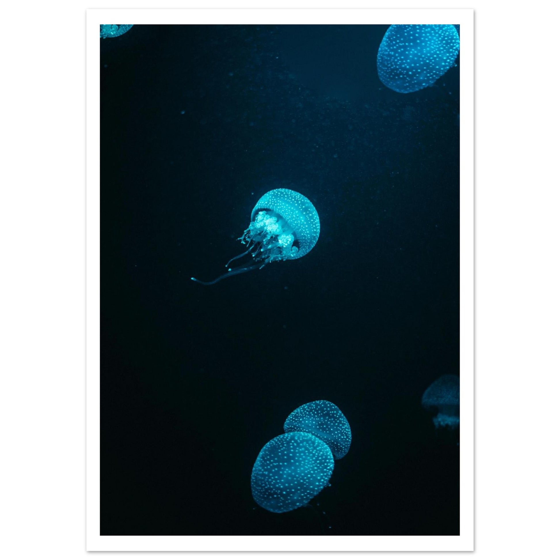 6765c589-5921-4ffb-8950-90913a621ab4