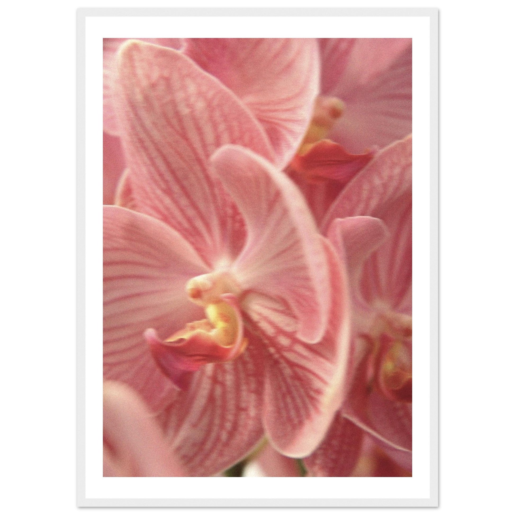 6a6ec1dd-2196-4707-a621-e7ffd4459a33