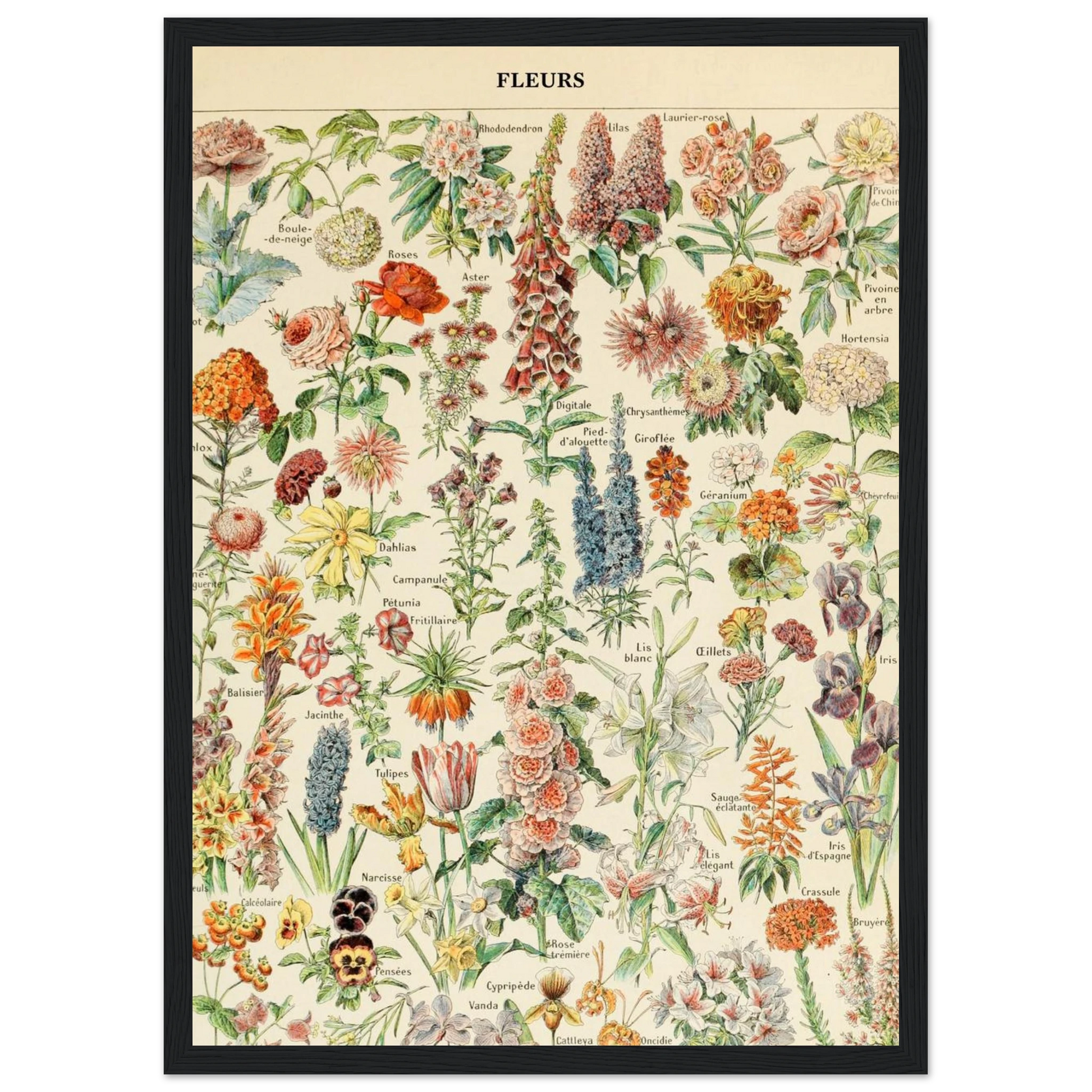 6ac85c22-ba6c-4be4-a49e-13562c424c10