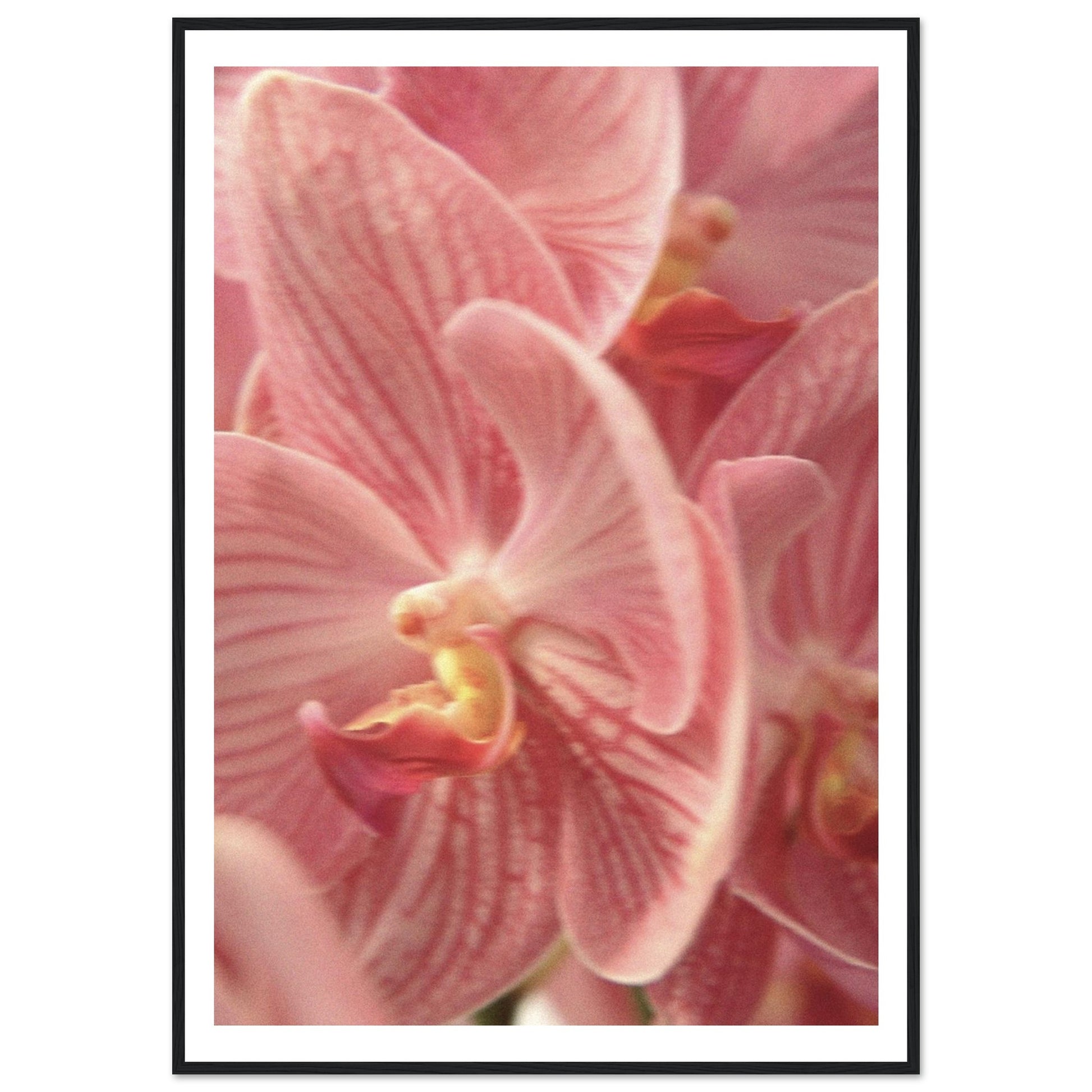 6b7c08bc-d0dd-4556-9747-3e85eb391f13