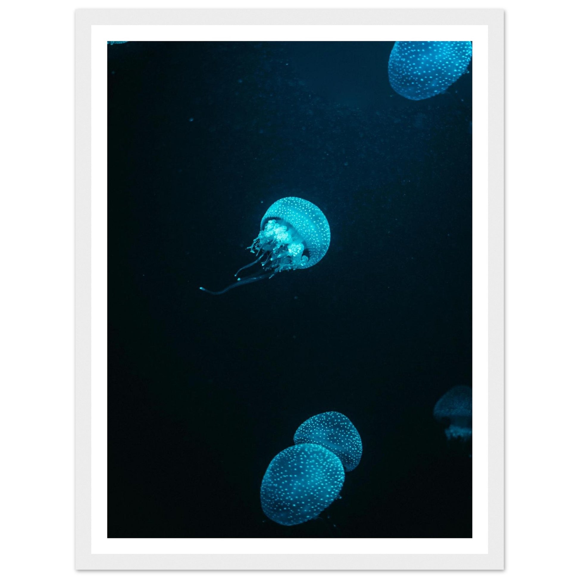 7319fc4e-0da6-4958-ba93-1026baa143fd