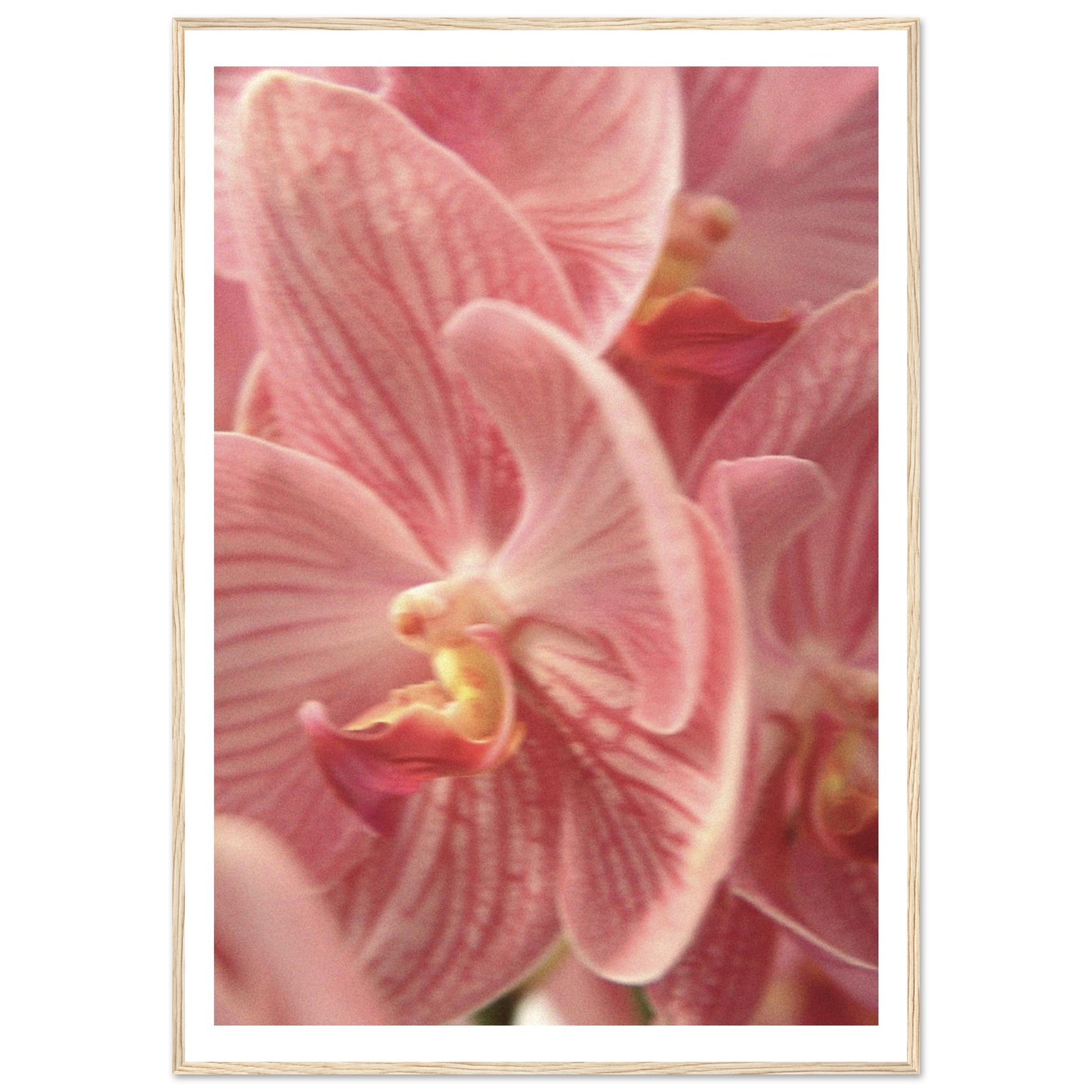 788cf8cc-02de-46d5-b24e-411f52300bc4