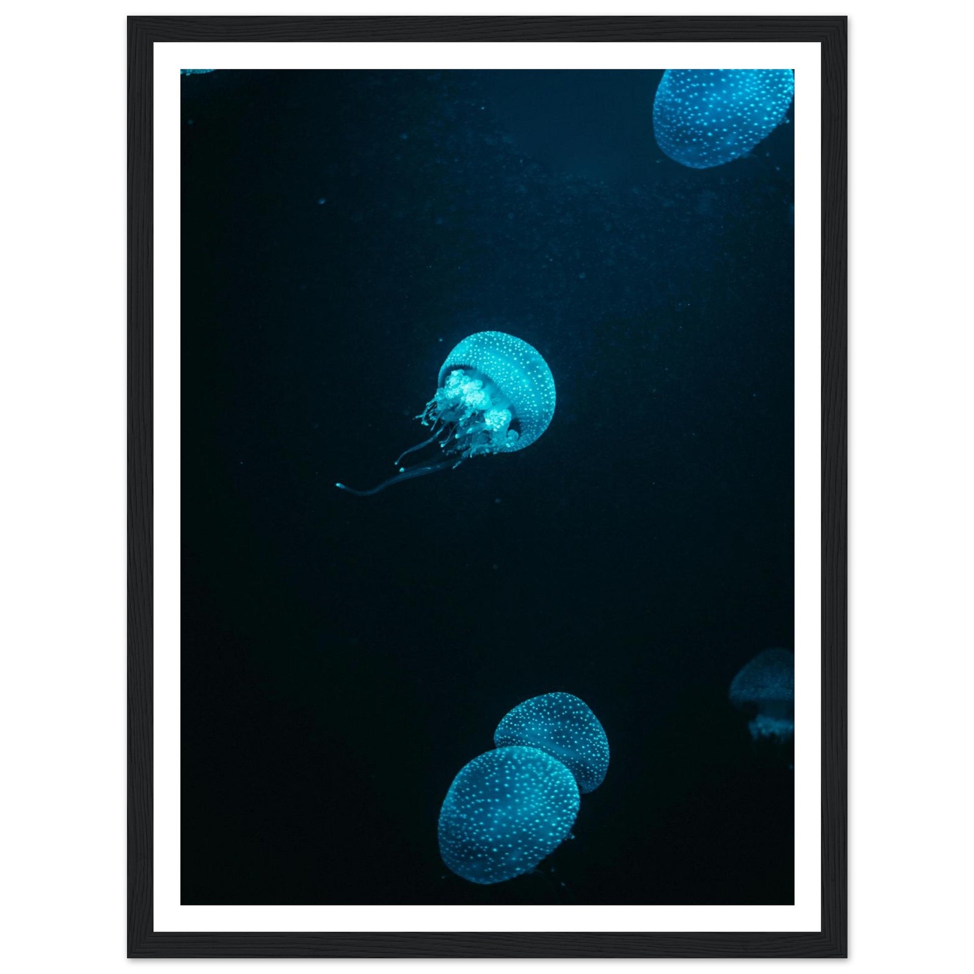 7cace308-3735-4600-b1ed-5975ad0d1188