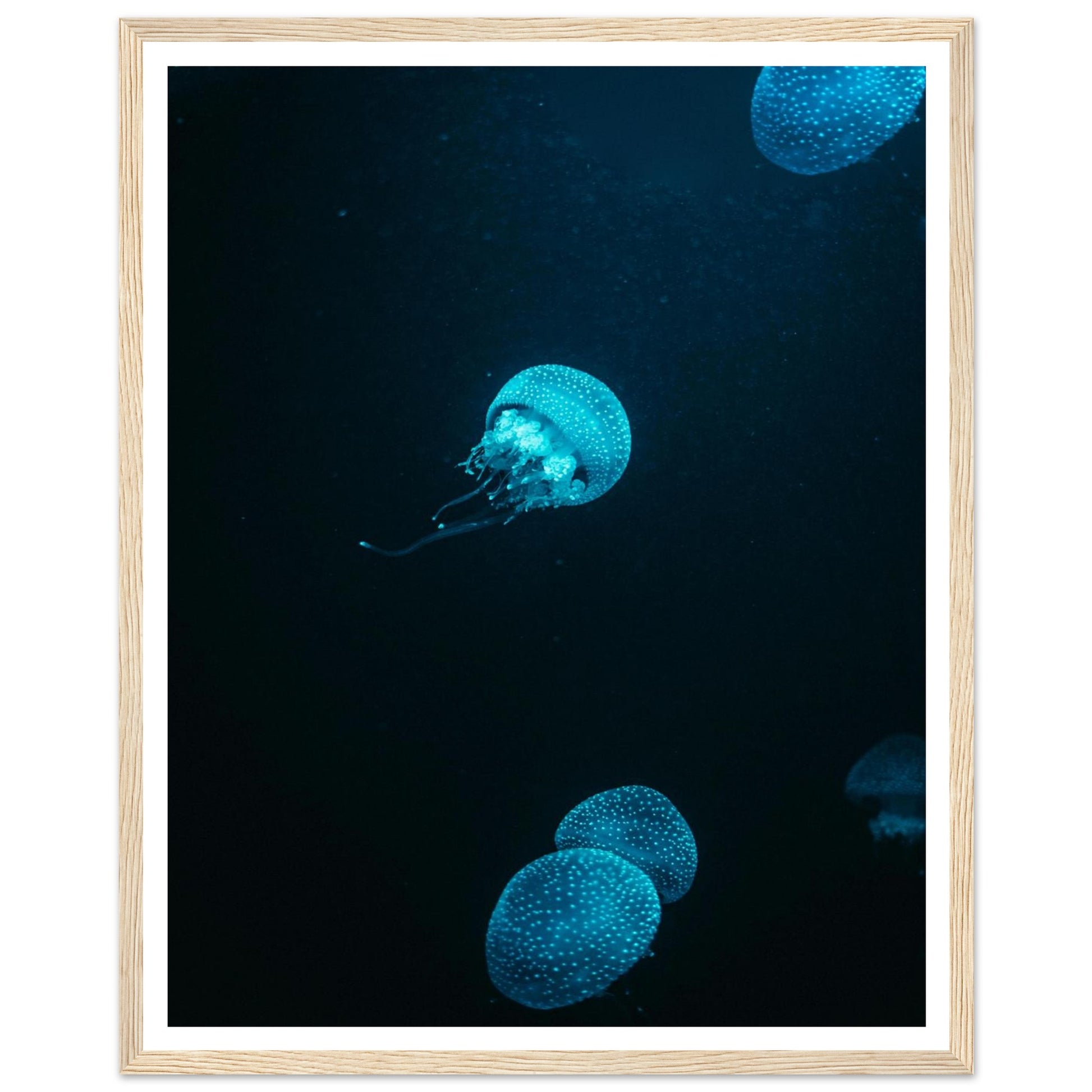 856ec573-f009-4fb8-9892-0781bf6f3a58