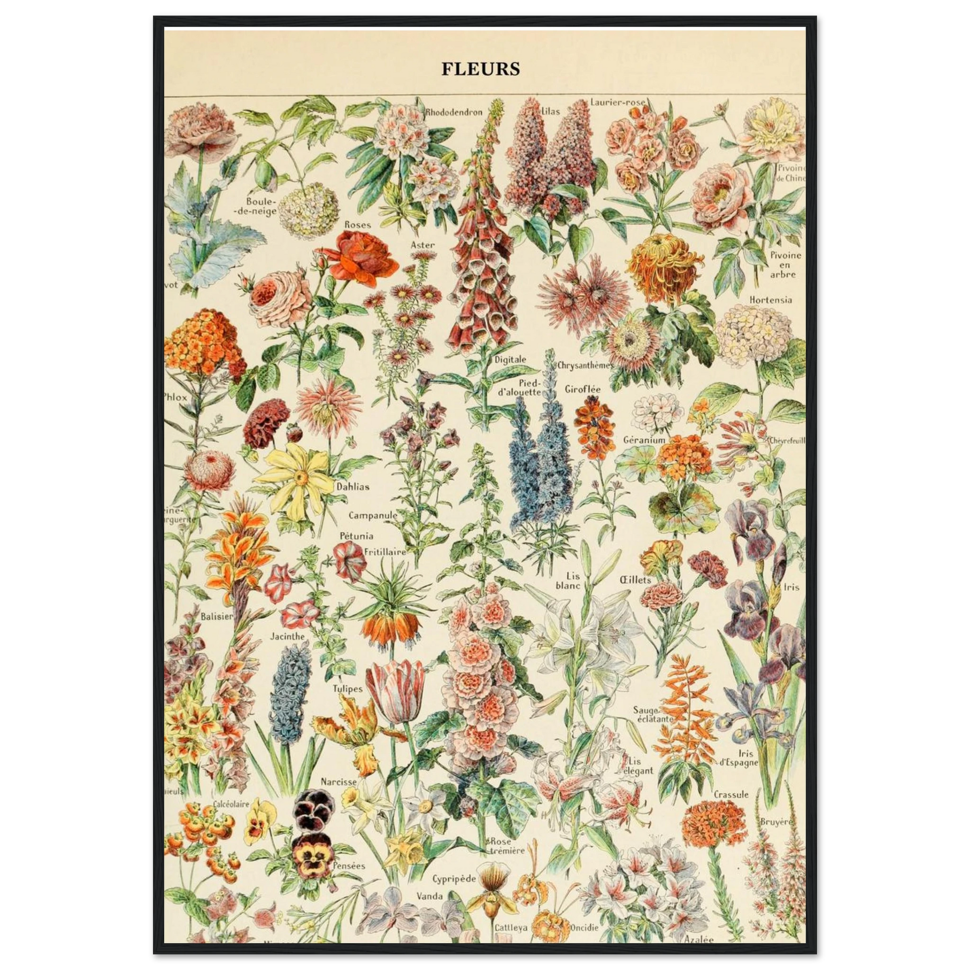 922c58d2-0a6b-43b8-a2bd-d0ebf28c63f3