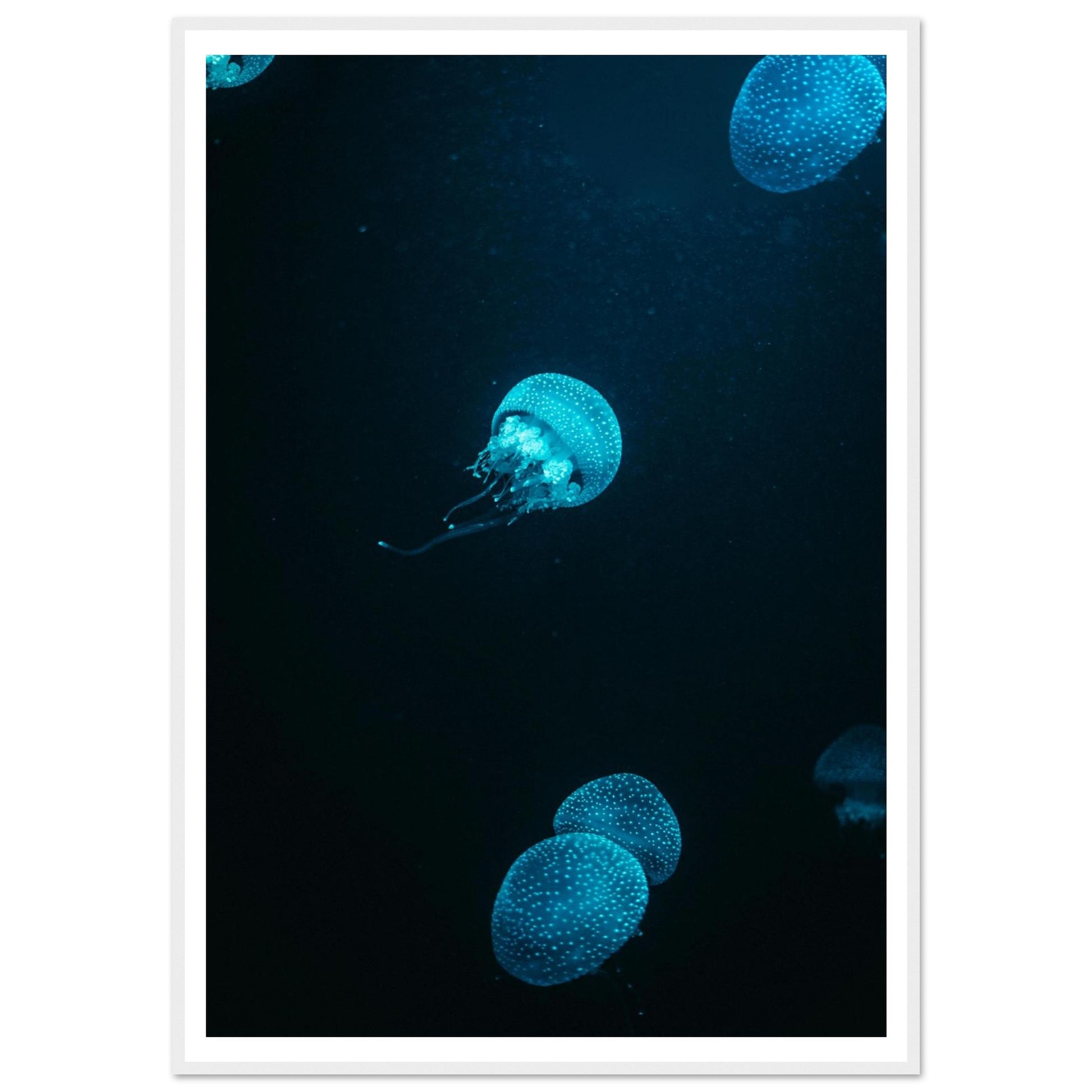 92b5572e-5857-44e4-8e5a-a5249cf31656