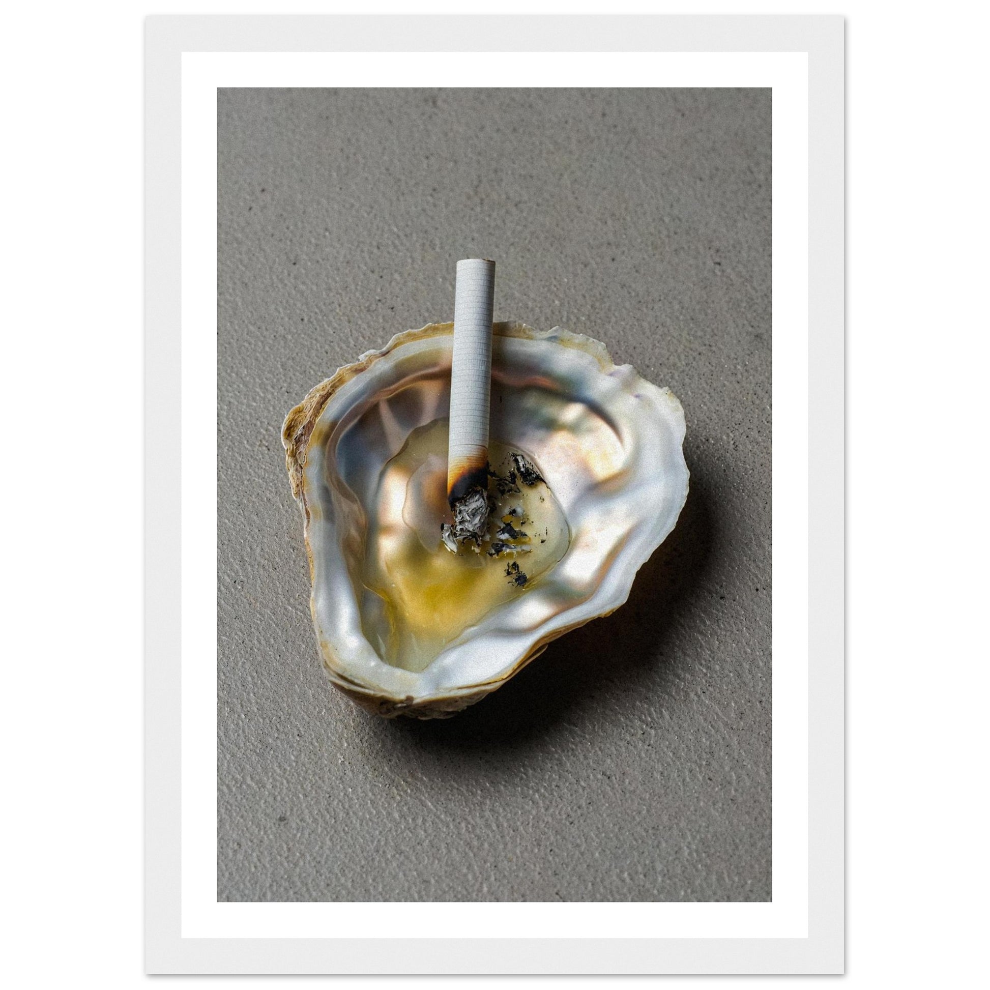 93767cf6-d4d5-456f-ac41-a07eb4d89010