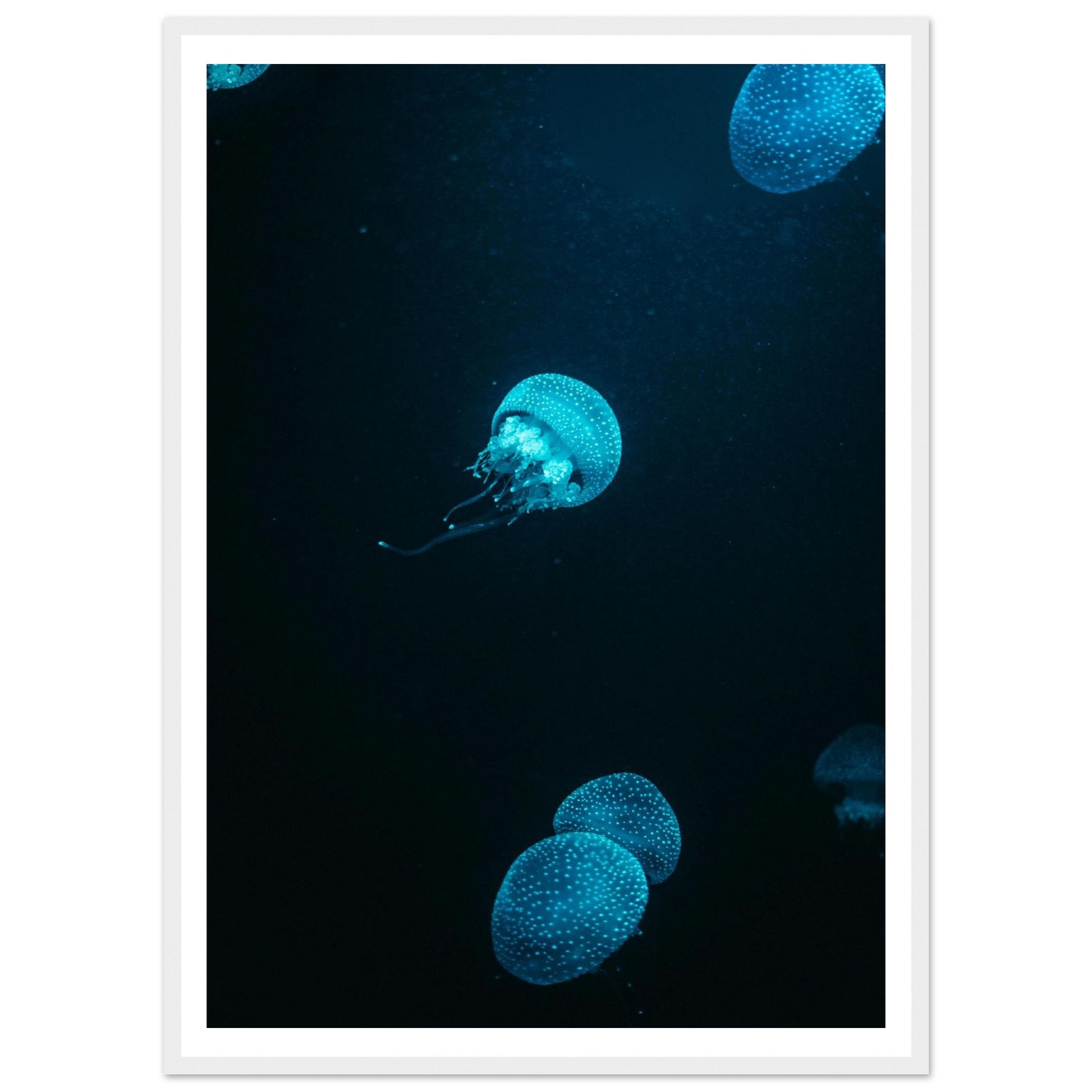 95e862f3-c599-4aba-8729-e909aaac296c