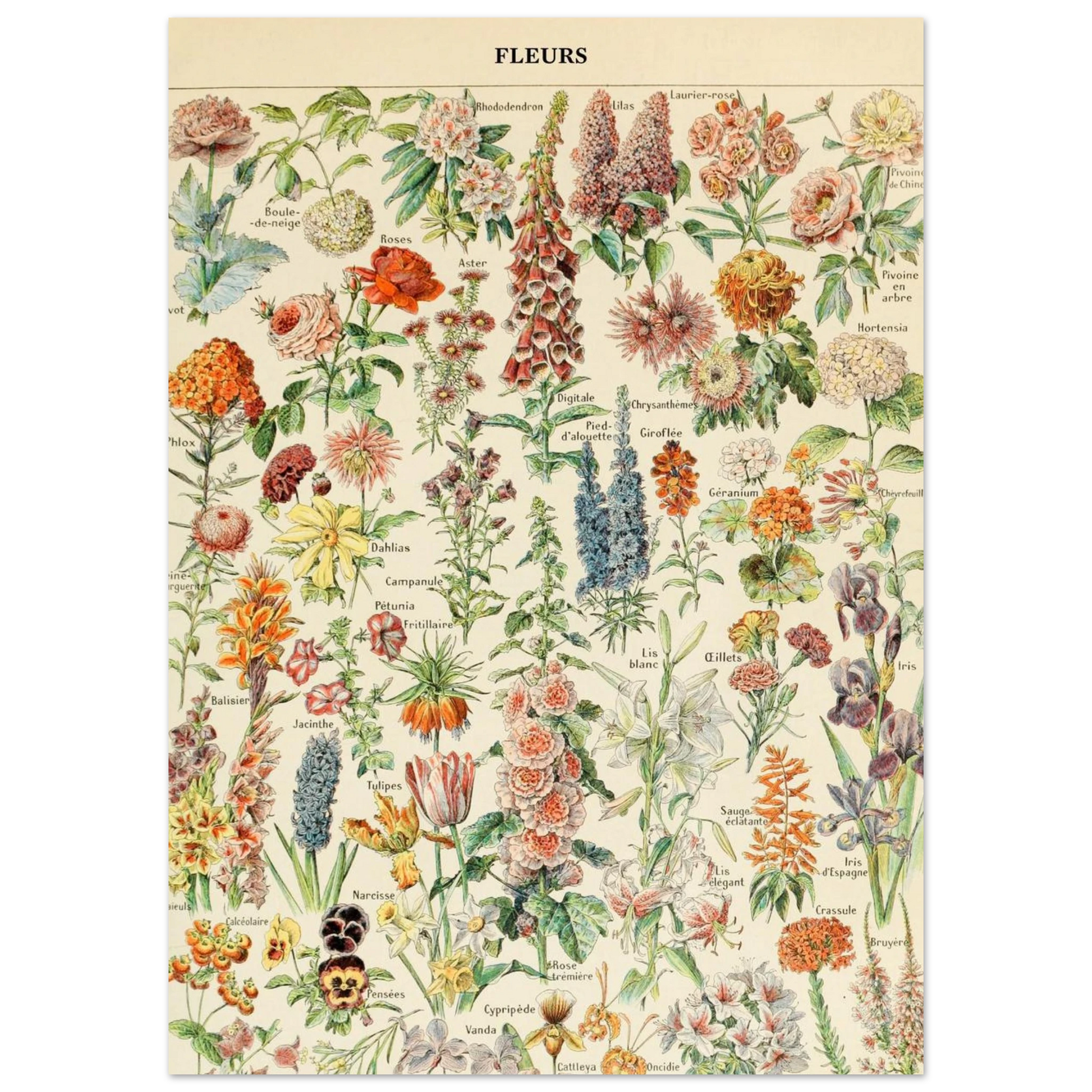 987eec85-2482-46f4-8a5f-91406d4e3d44