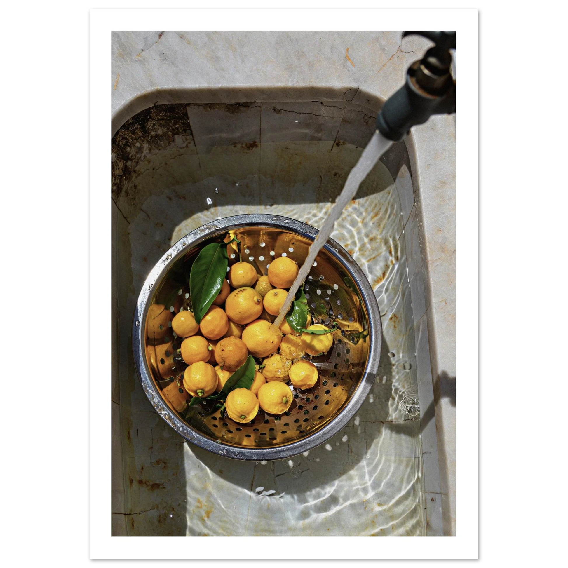 9c5e3f3e-c230-46b4-95a5-ce82360480ce