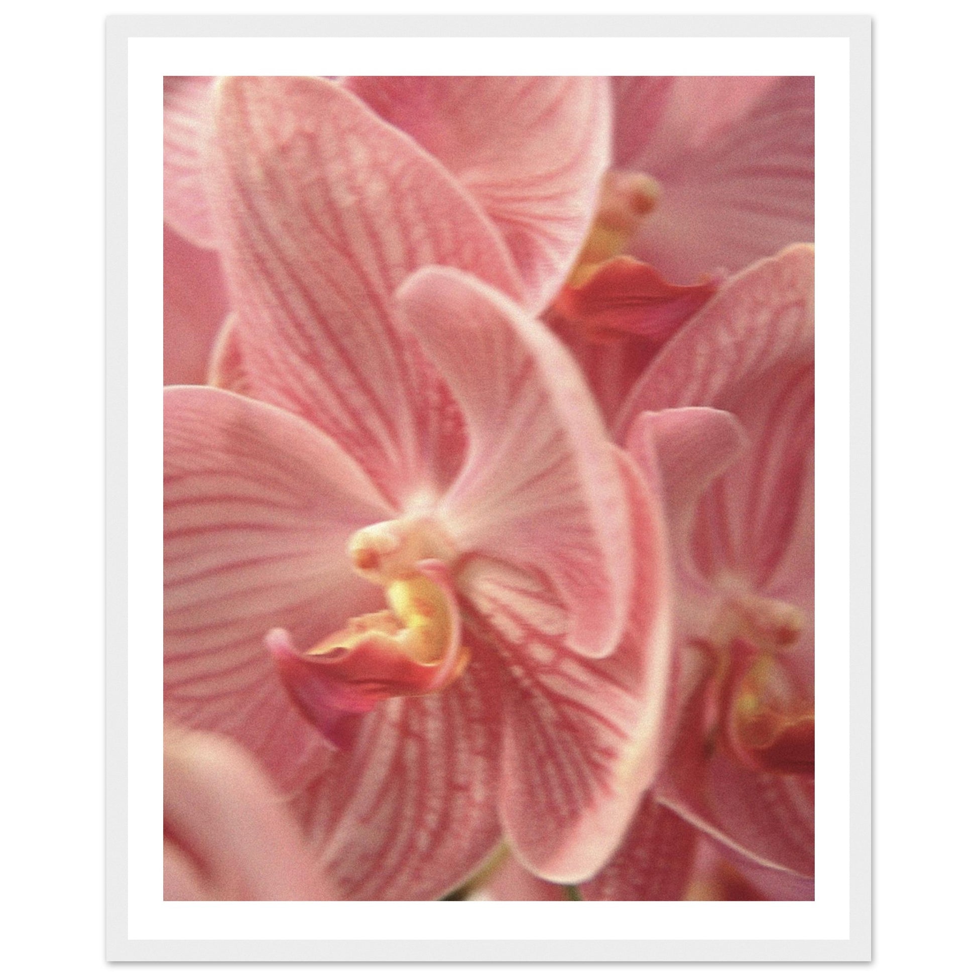 a14e0159-4c56-44cf-8eb1-fd8246806fc4