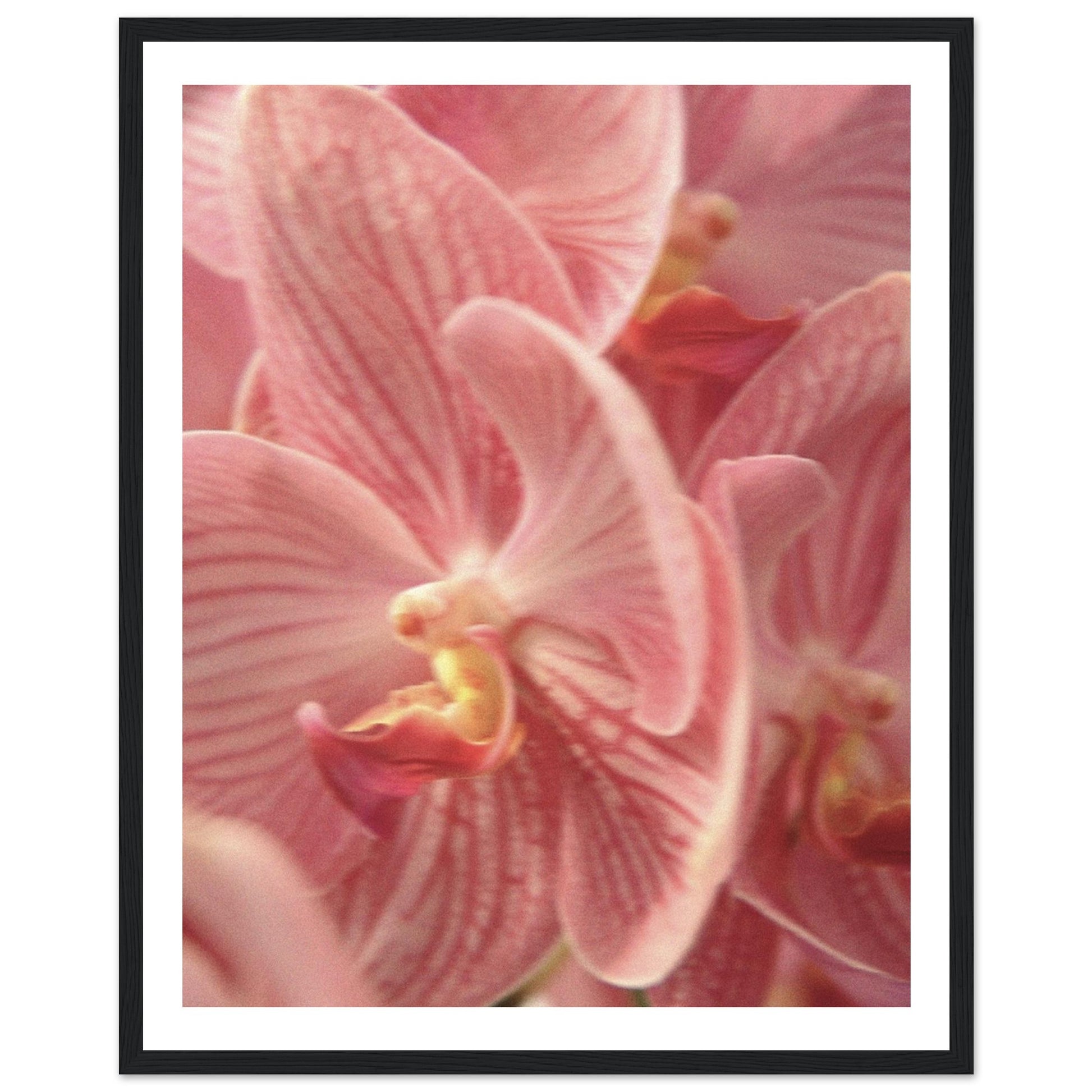 a20e87fd-8961-455d-b802-9010bc1c06a4