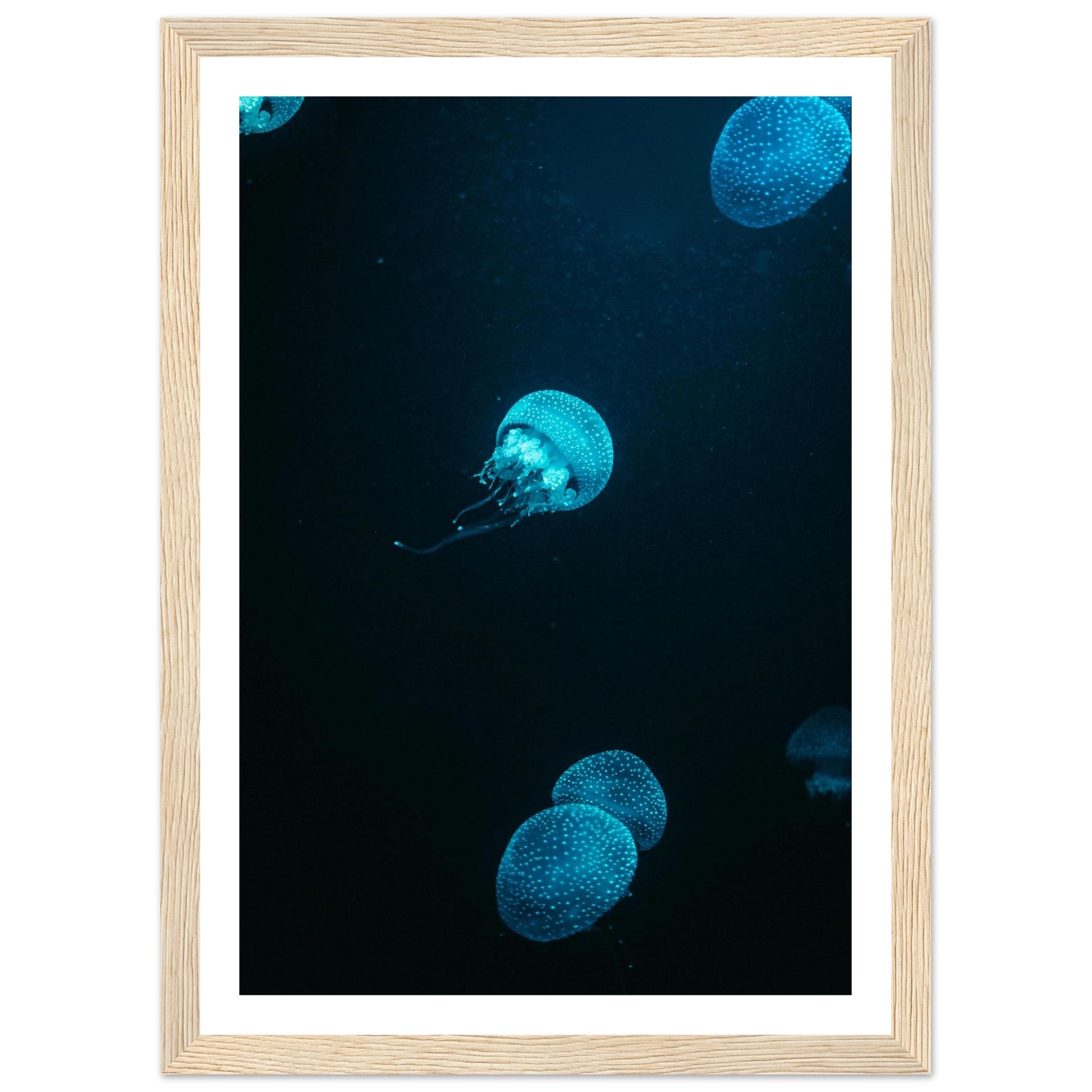 a271ecd2-61a5-4bbd-8930-9ea595e90b87