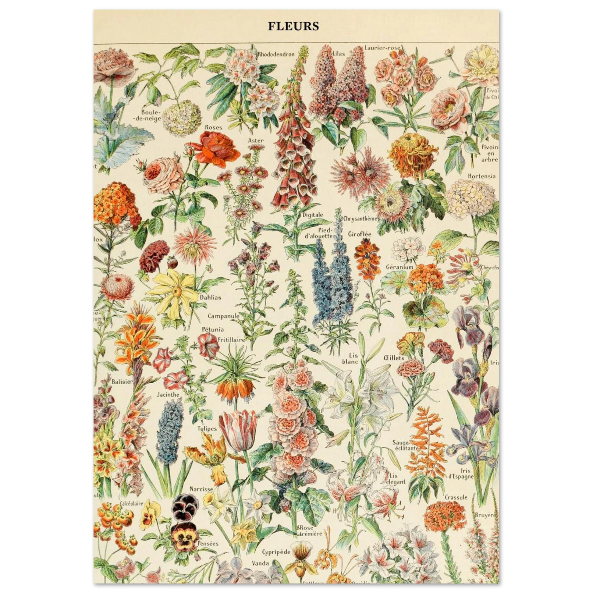 a370d1e2-6be2-4b6a-ad04-da708ee06b1b