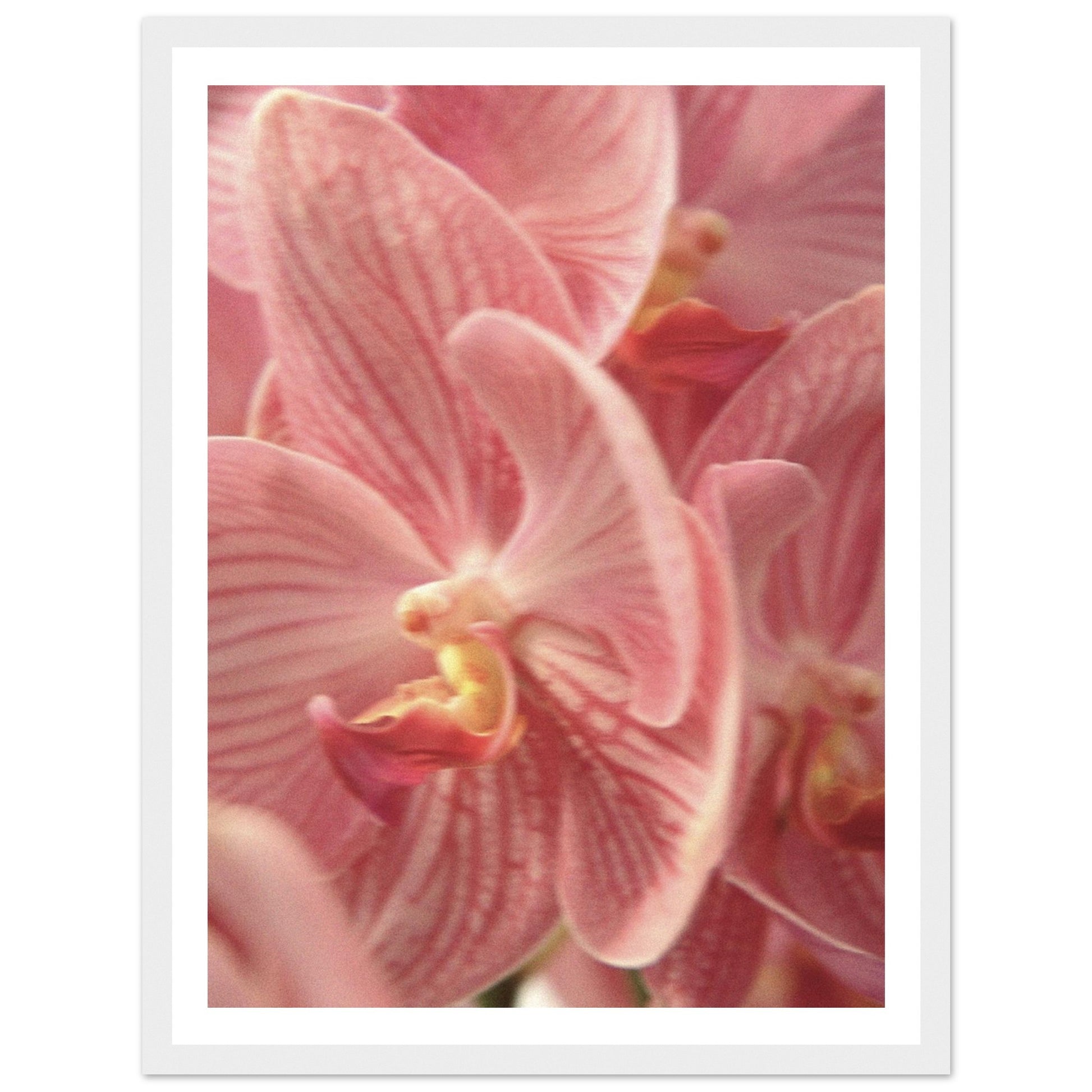 a4334806-6e71-4409-9dbb-bee93e3ef036