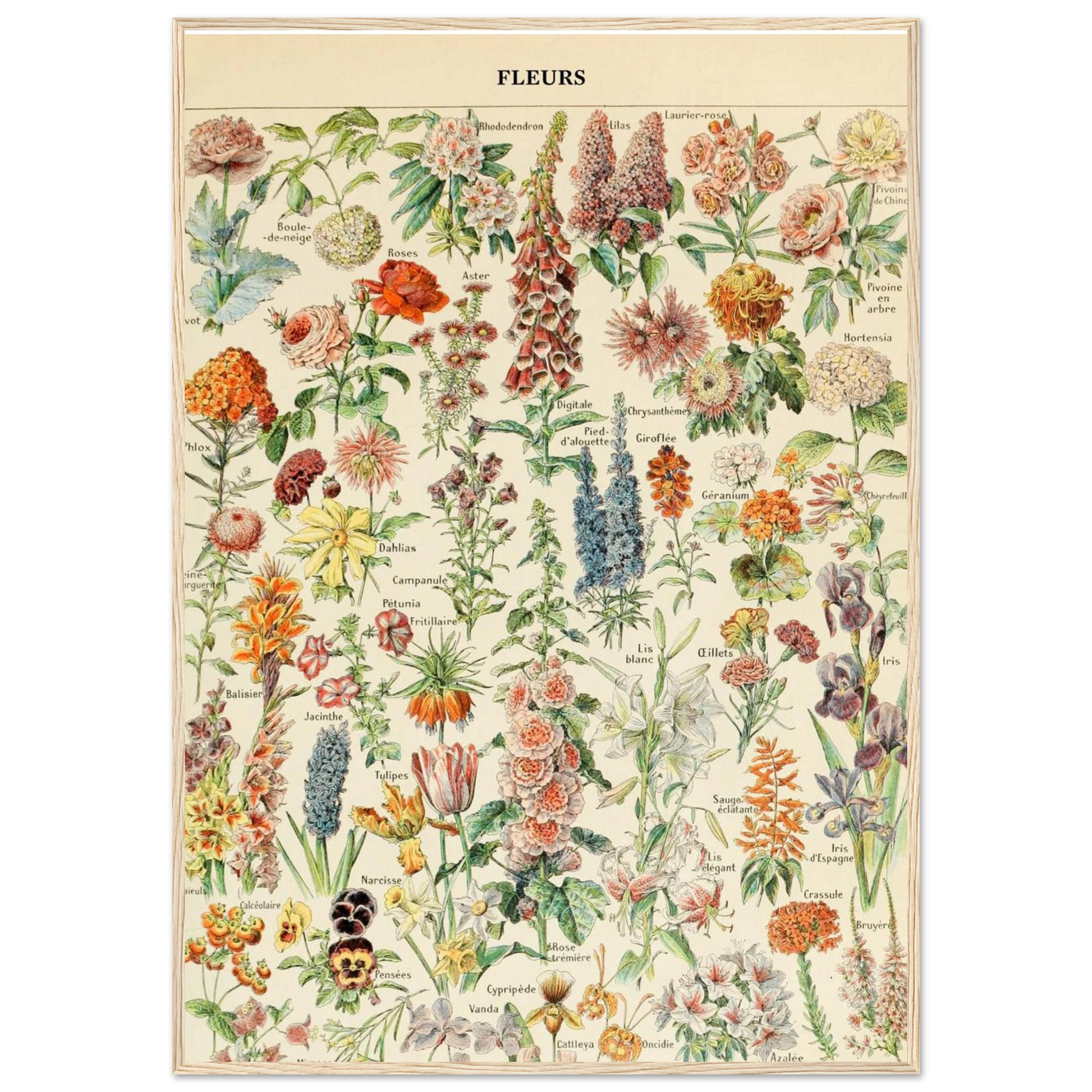 a8ad0926-093d-45e7-b042-e3935bcd24bc