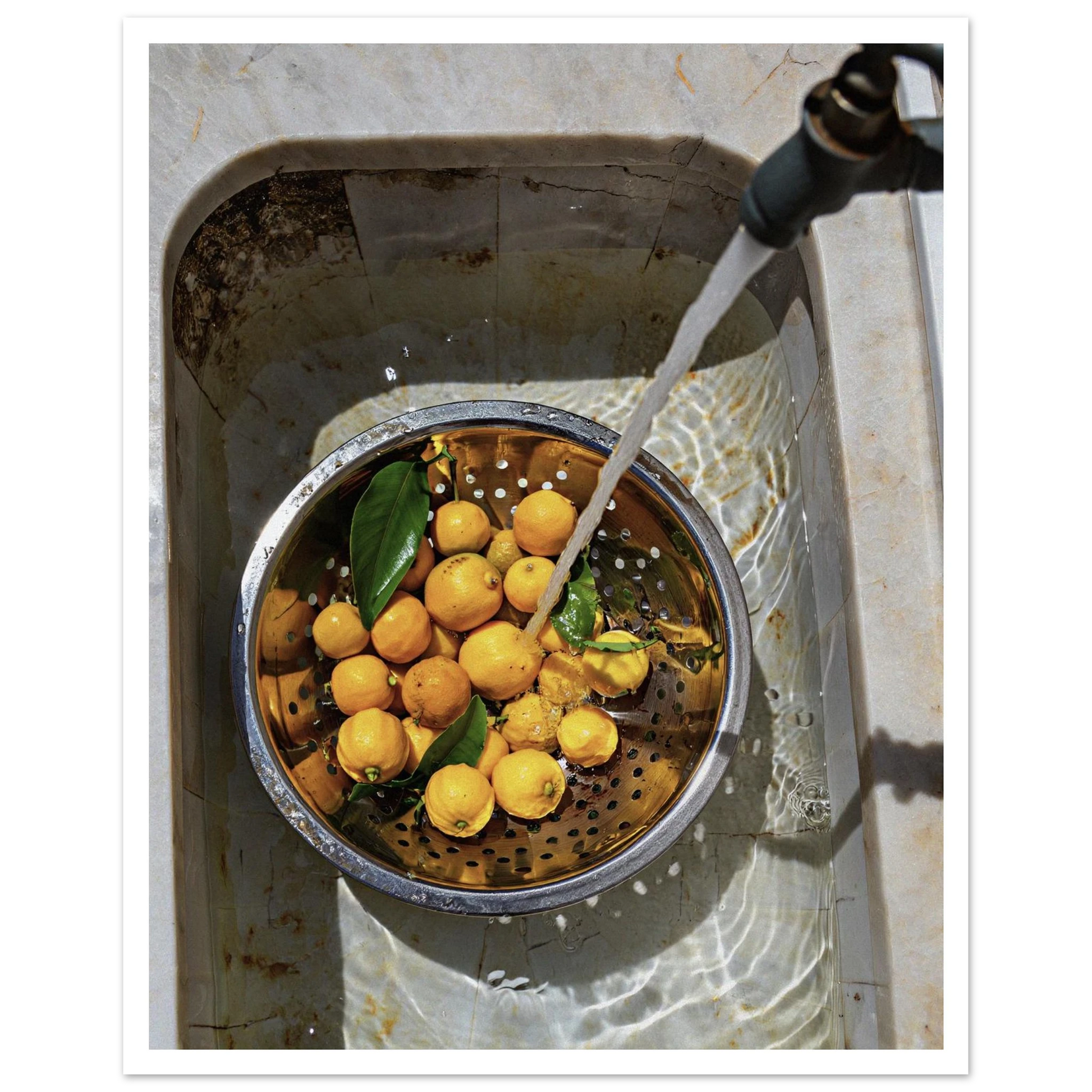 a9d93ee7-666e-497e-bbd2-b76be605e231