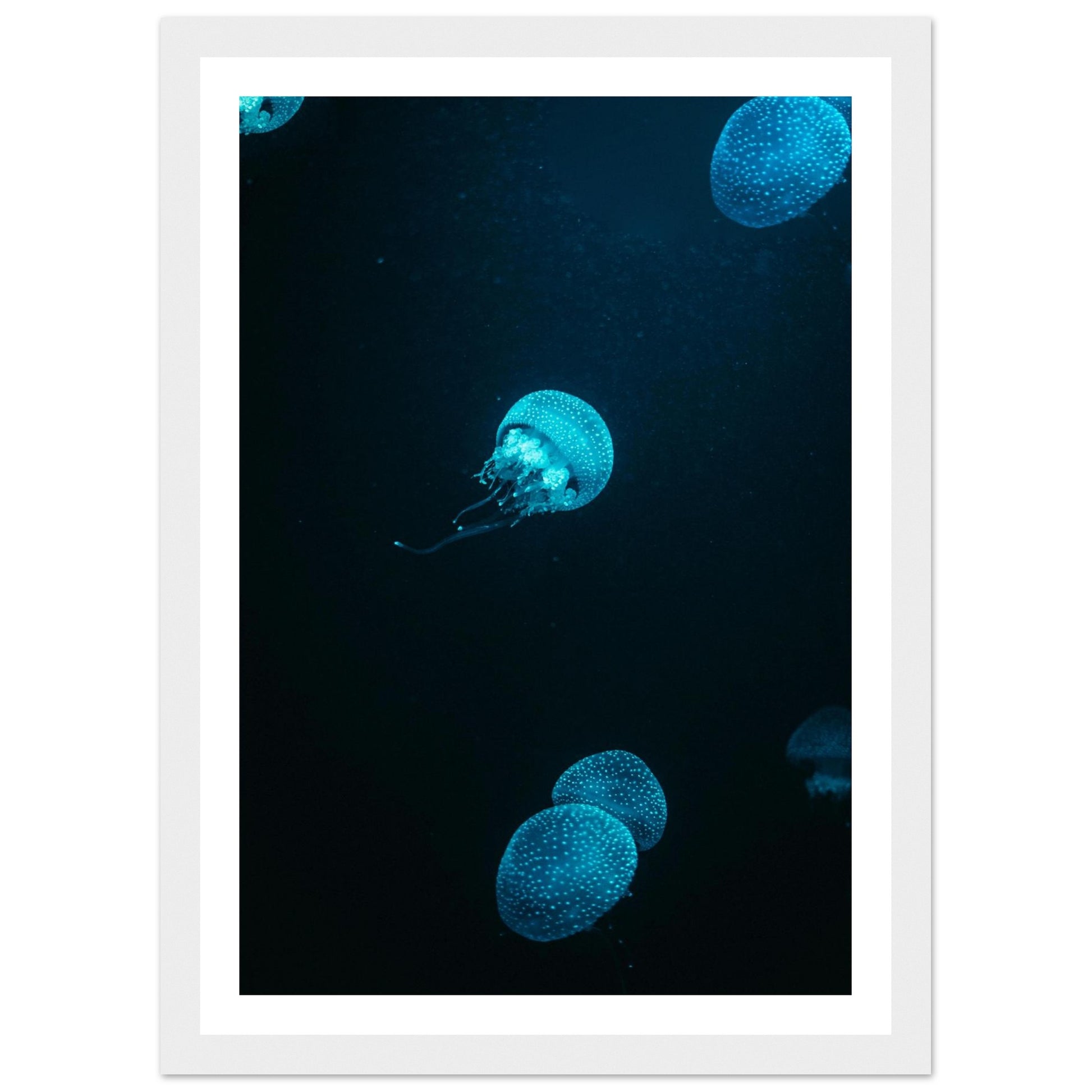 b3277a1b-253d-4e22-84de-eb28129a4776